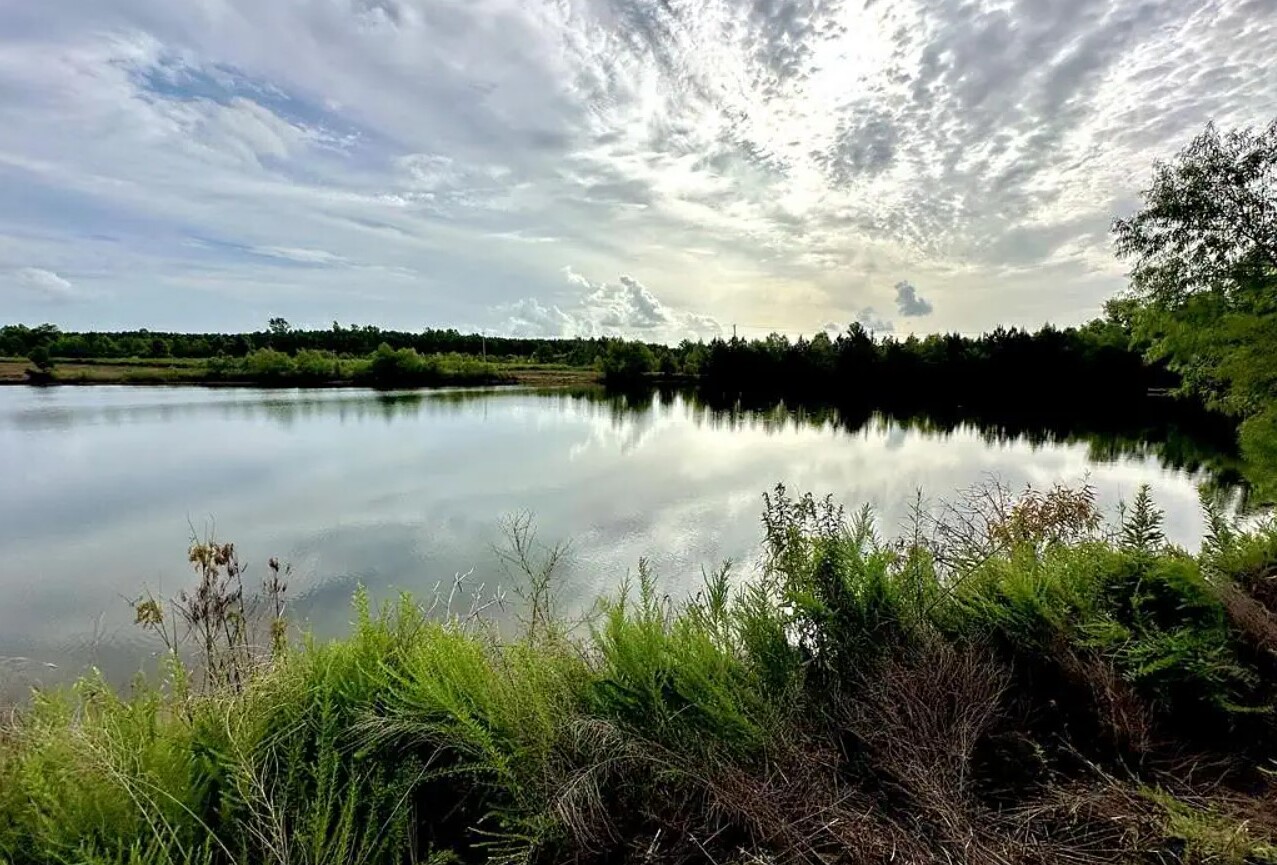 secrets-of-the-river-in-oxford-mississippi