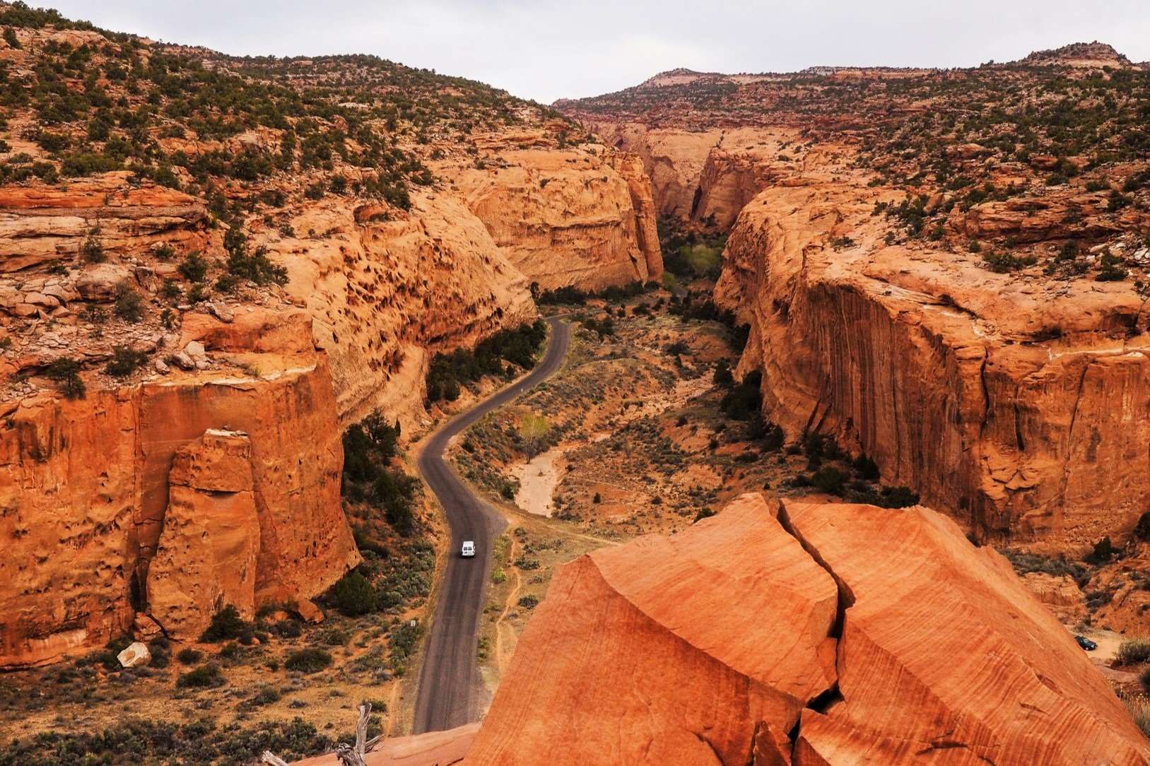 secrets-of-utahs-escalante-canyons-springs