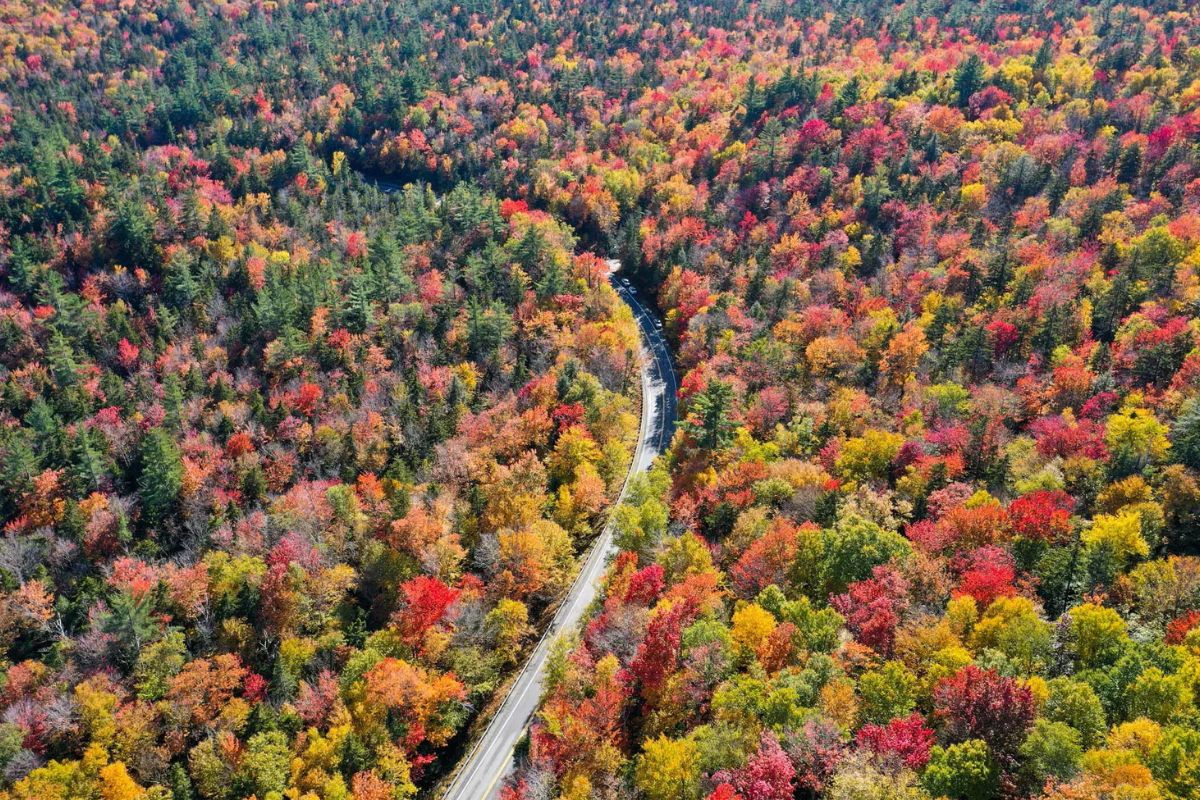 Secrets-Of-Vermont8217s-Sterling-Forest-Trails secrets-of-vermonts-sterling-forest-trails