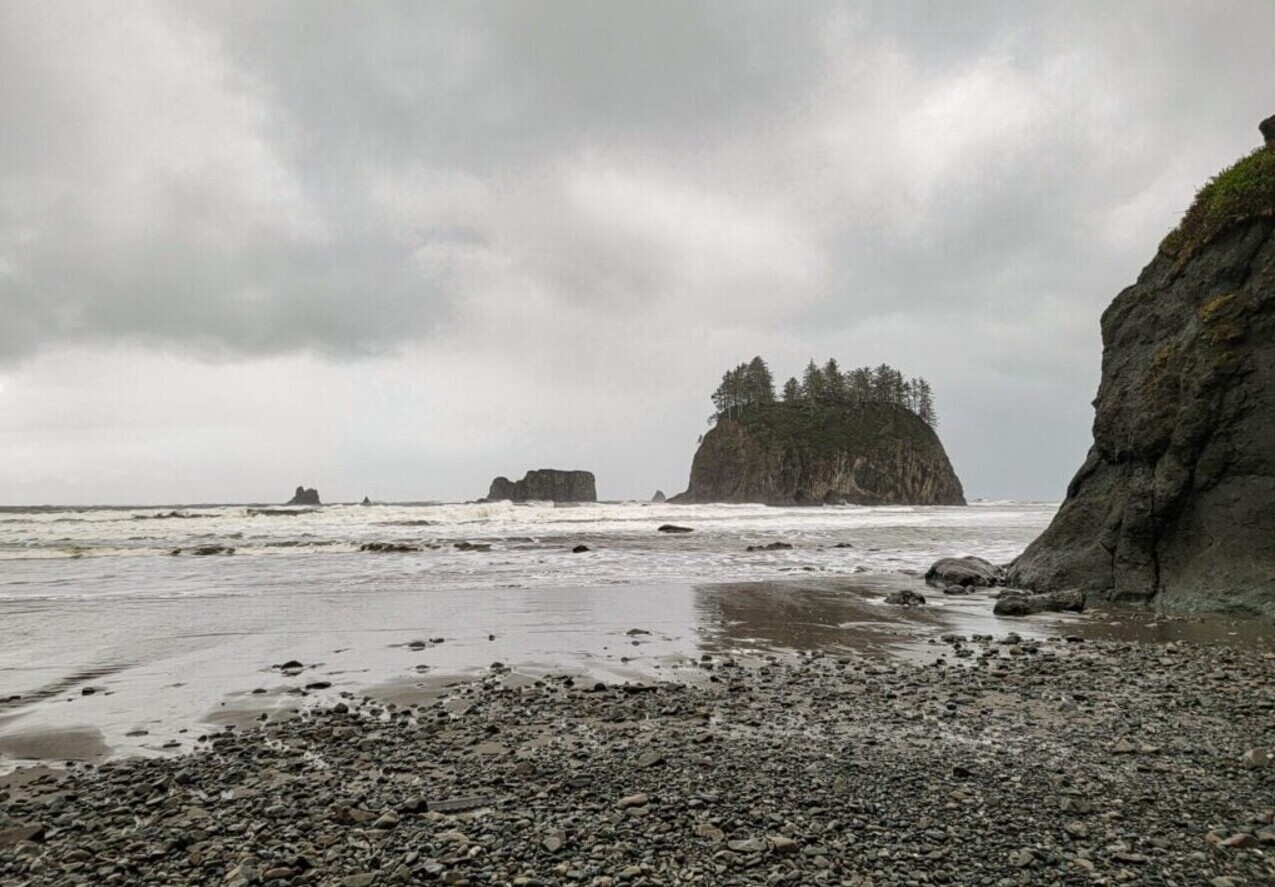 secrets-of-washingtons-olympic-revealed