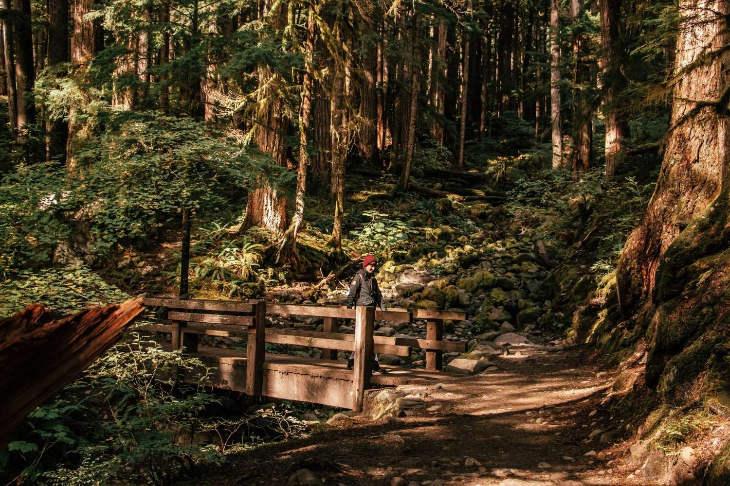 Secrets-Of-Washington8217s-Sol-Duc-Trails secrets-of-washingtons-sol-duc-trails