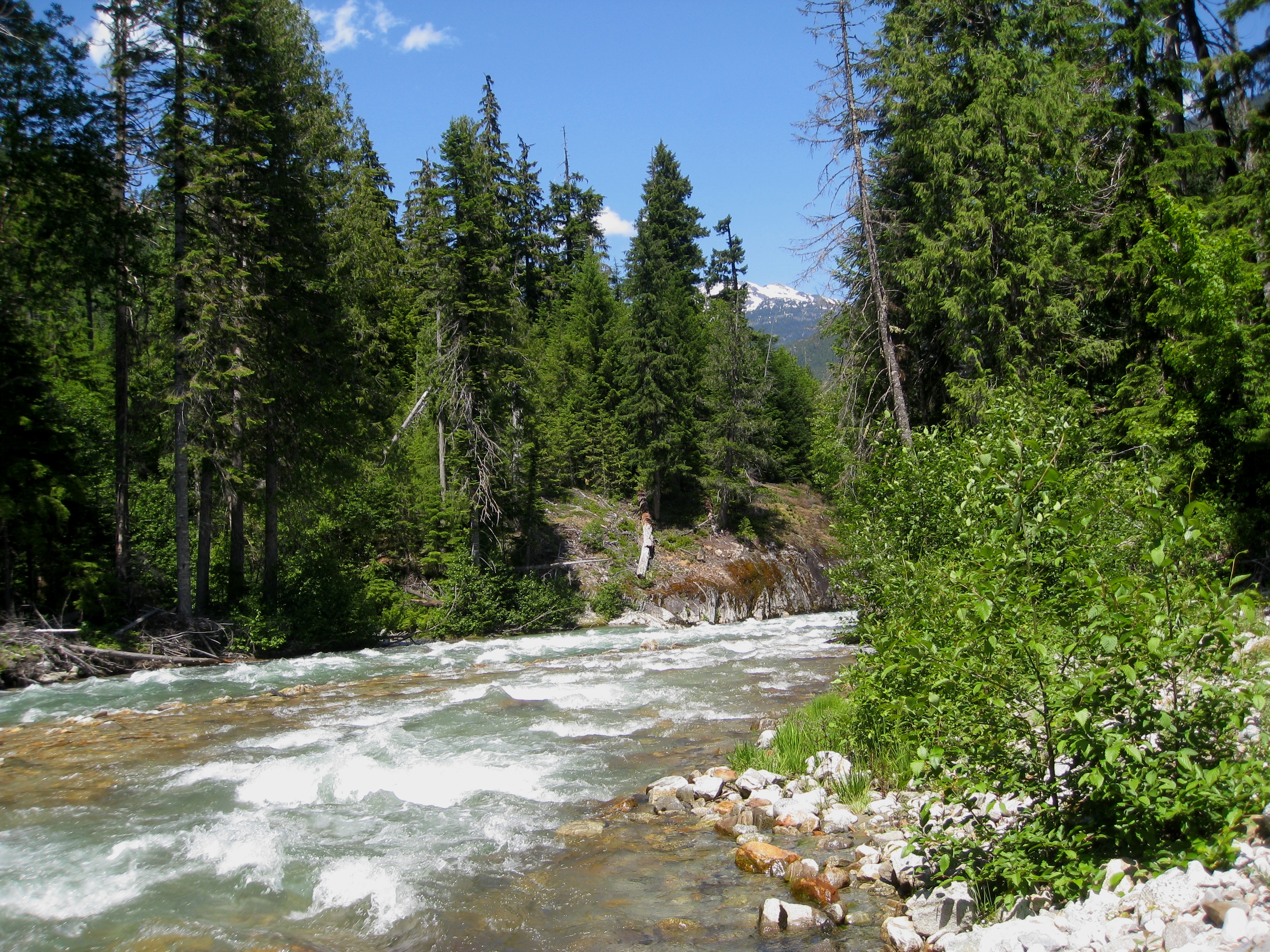 Secrets-Of-Washington8217s-Thunder-Creek-Lakes secrets-of-washingtons-thunder-creek-lakes