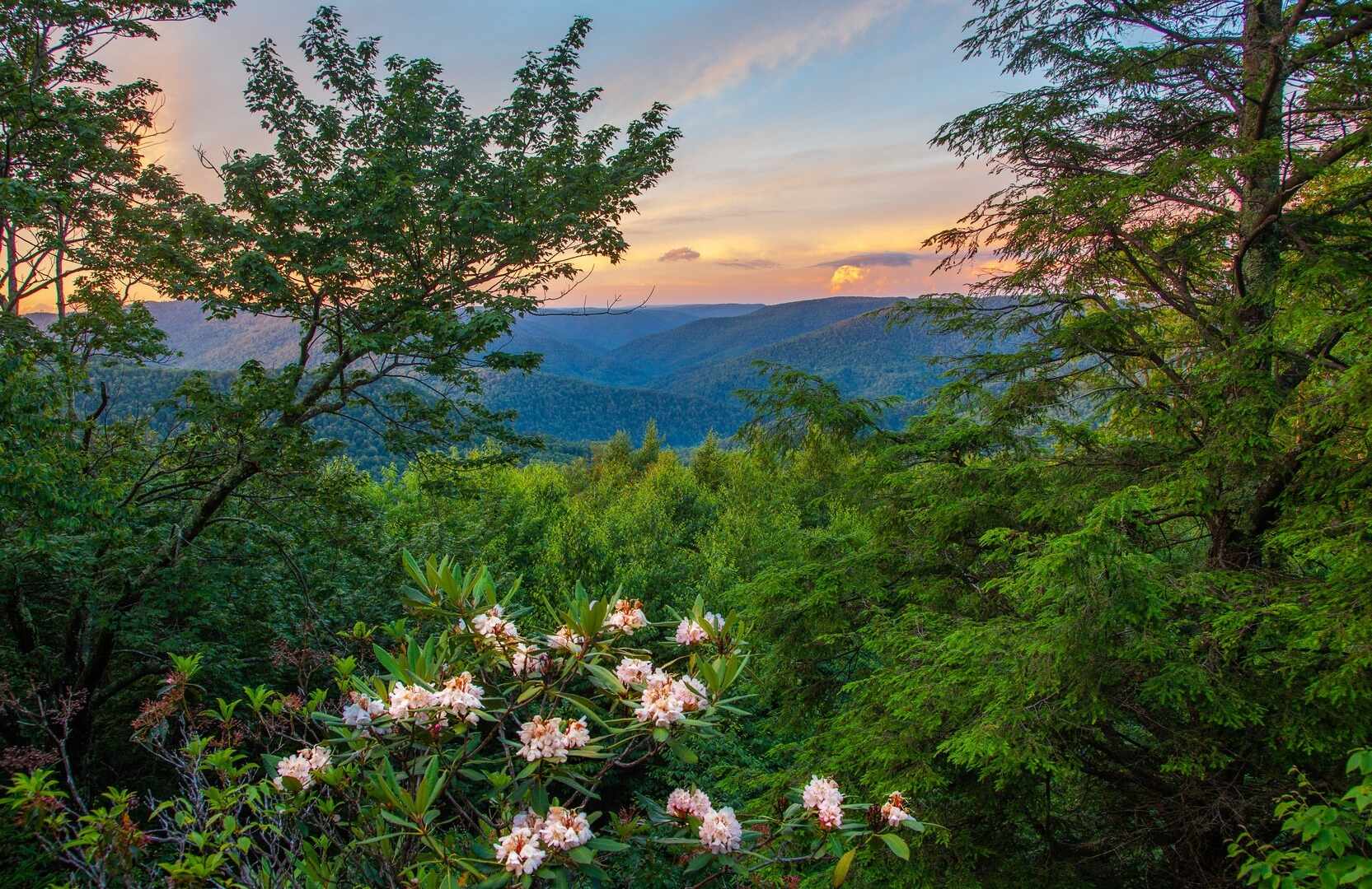 secrets-of-west-virginias-bear-heaven