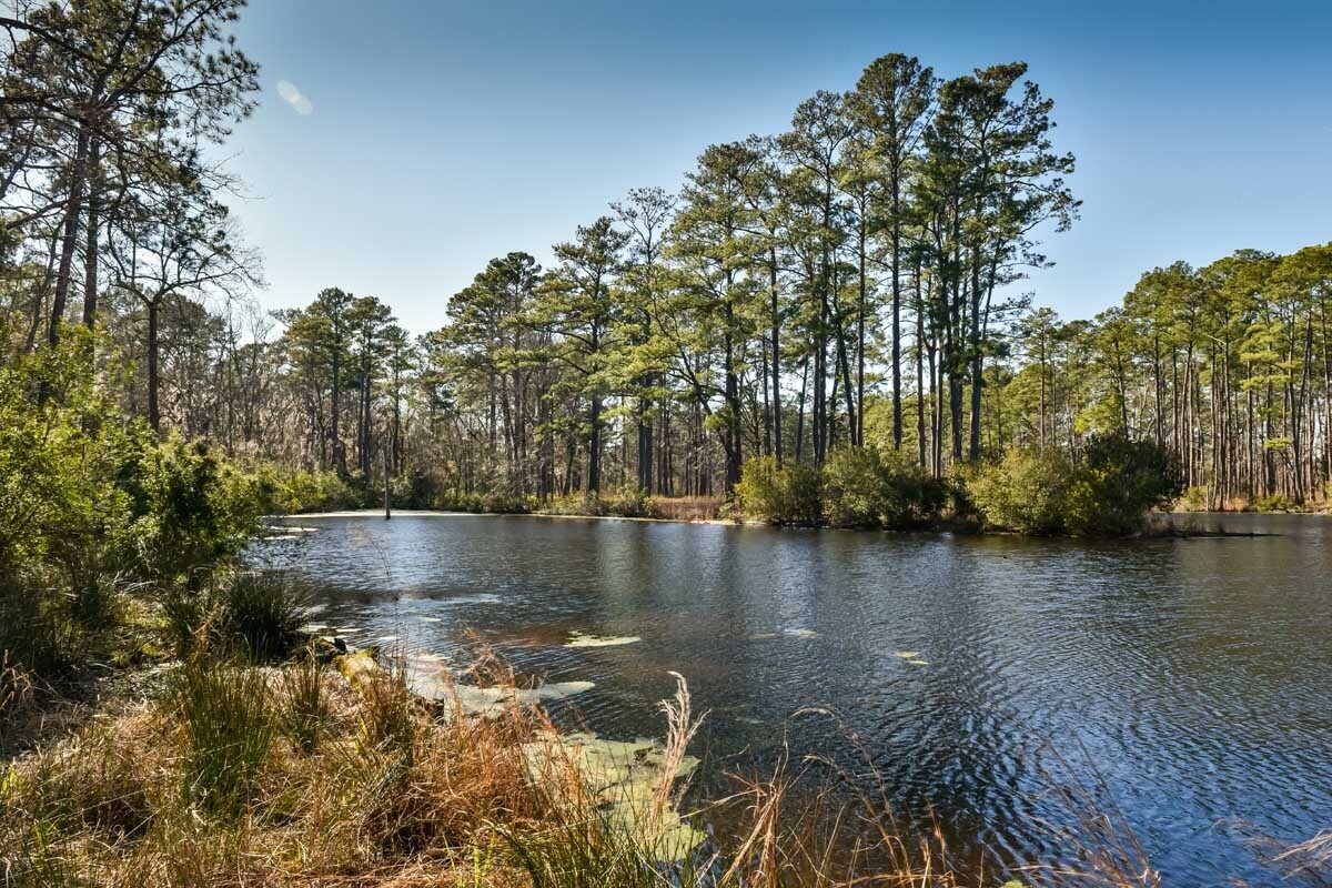 South-Carolina8217s-Secret-ACE-Basin-Mystery south-carolinas-secret-ace-basin-mystery