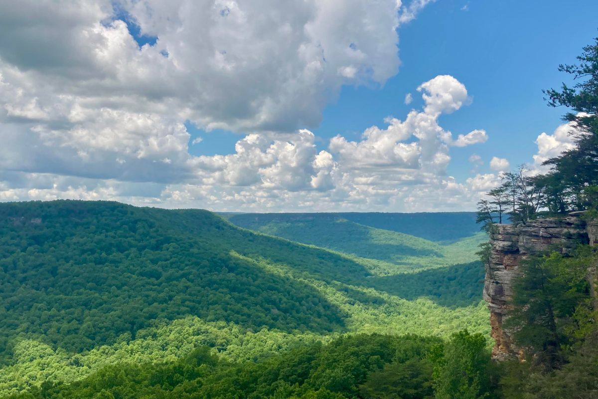 tennessees-secret-savage-gulf-wilderness