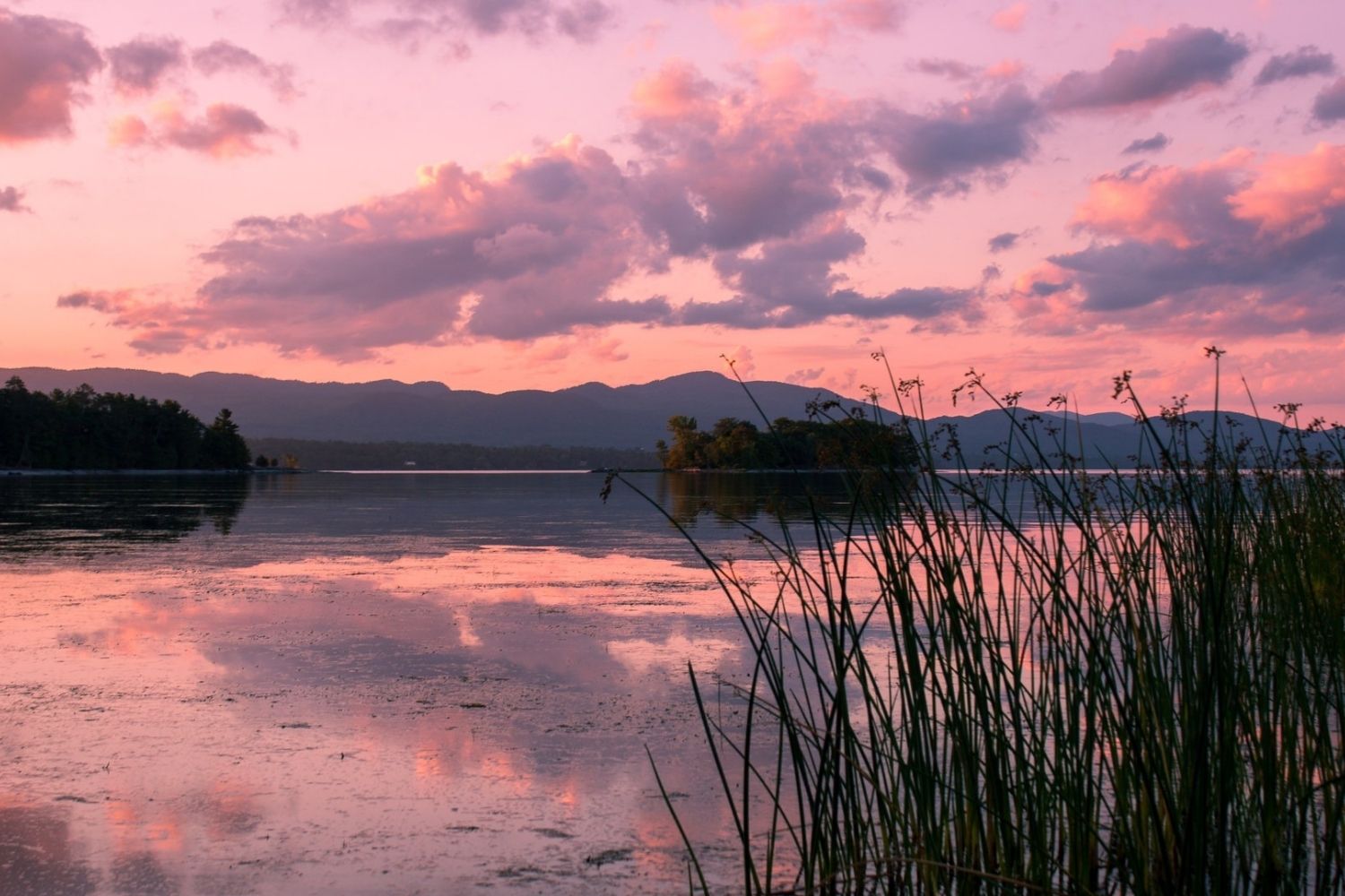 Vermont8217s-Secret-Fossil-Beds-At-Button-Bay-State-Park vermonts-secret-fossil-beds-at-button-bay-state-park