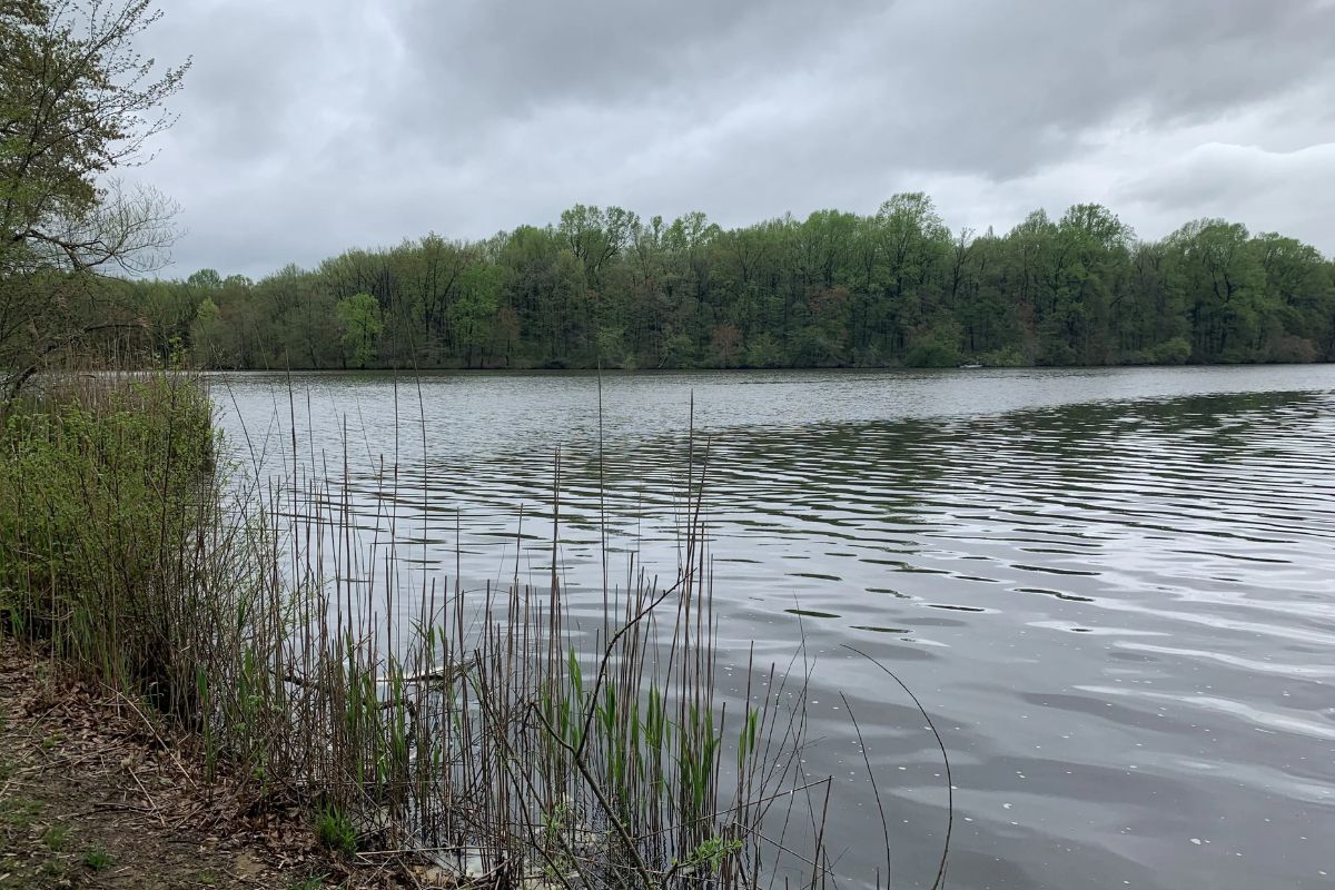 what-lies-beneath-delawares-largest-freshwater-pond