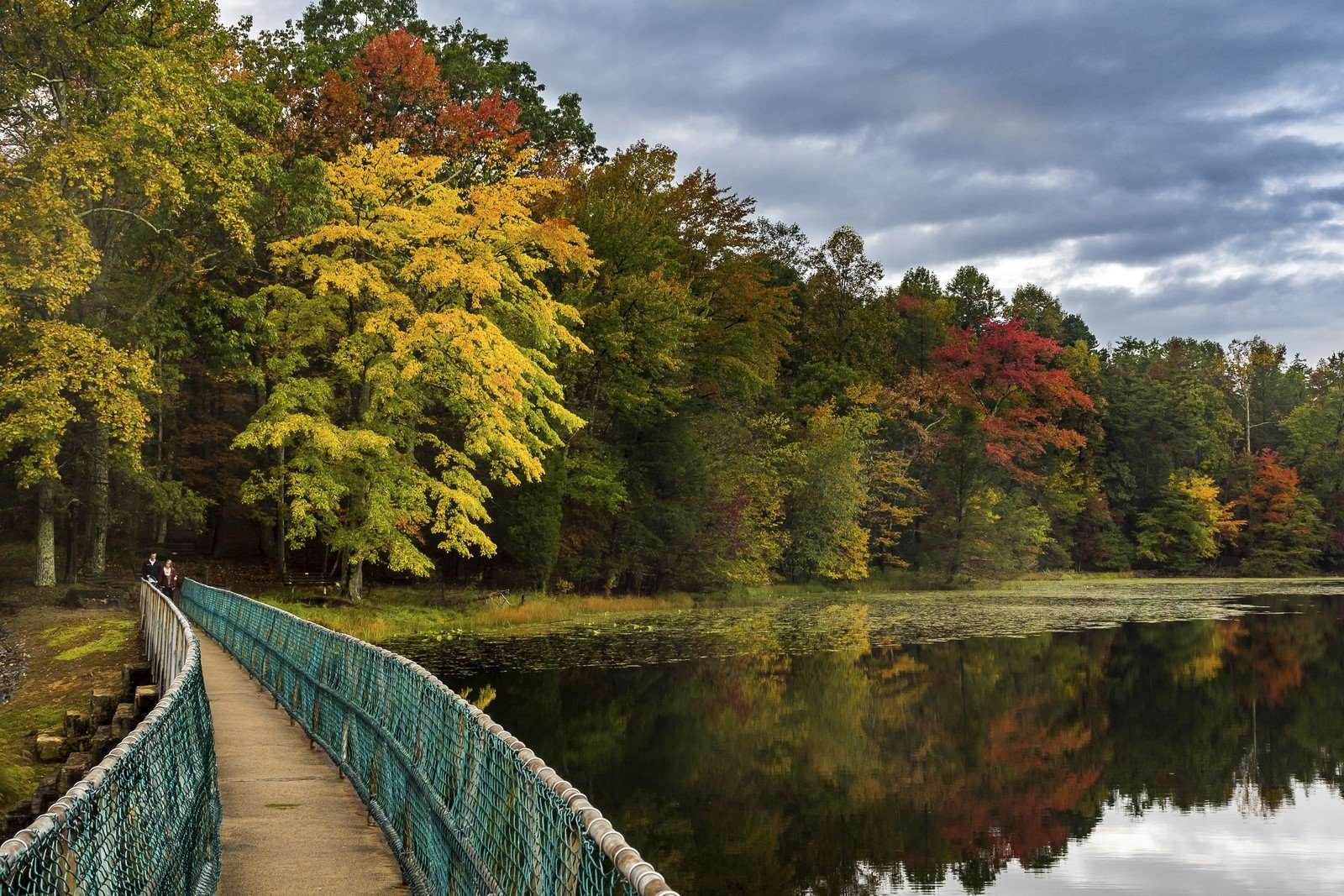 whispers-of-tennessees-bays-mountain