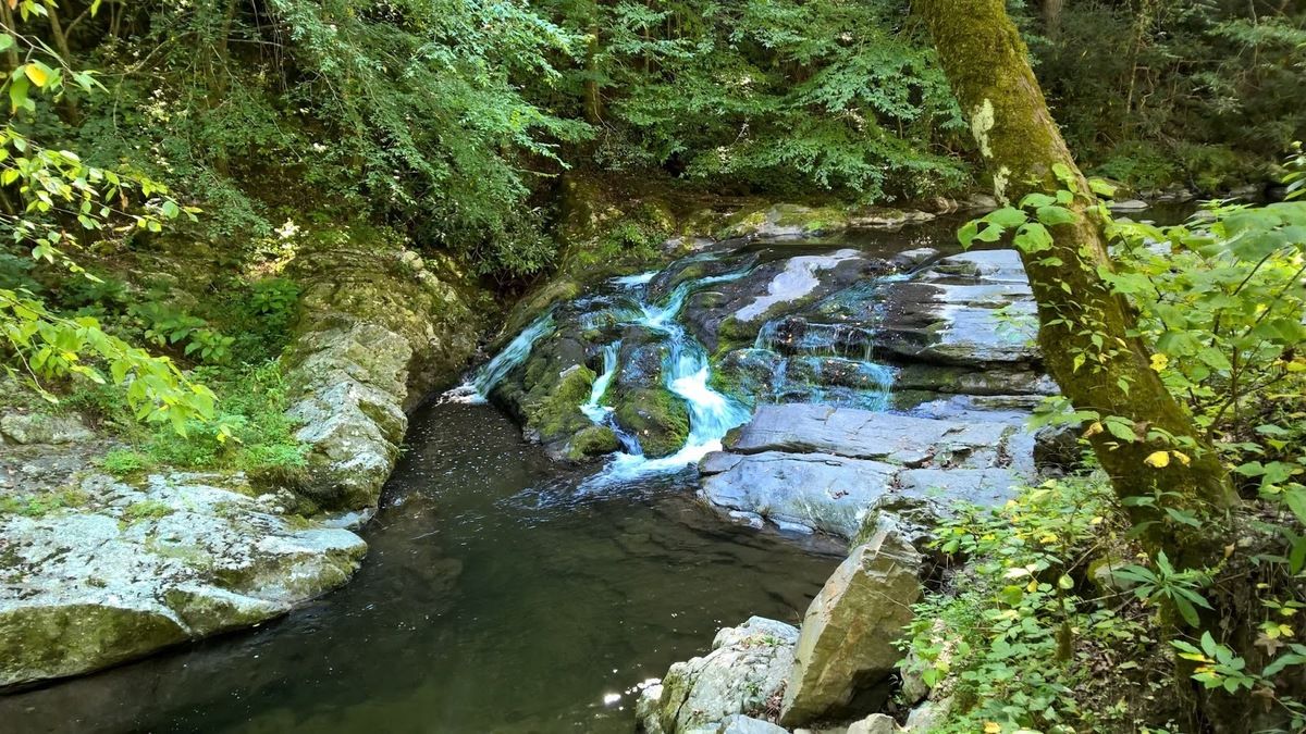 whispers-of-tennessees-laurel-creek