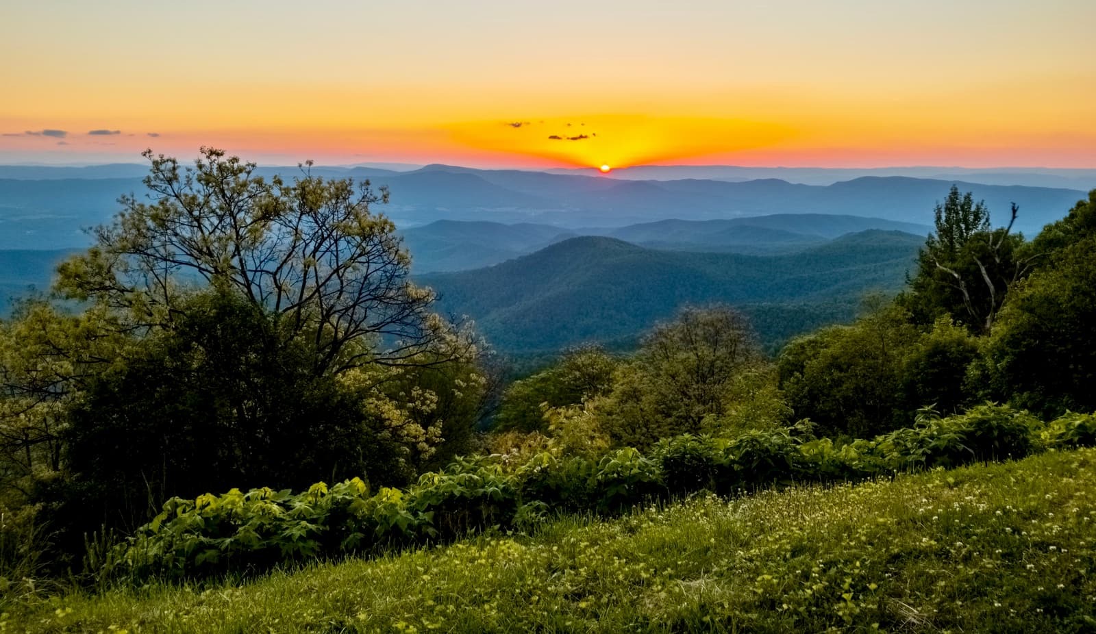 Whispers-Of-The-Allegheny-Mountains whispers-of-the-allegheny-mountains