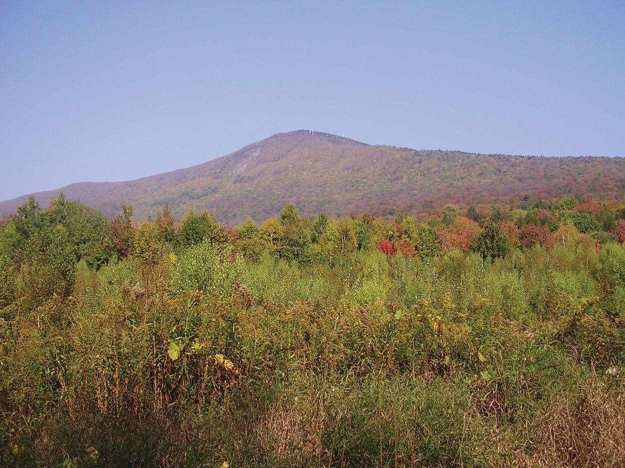 Whispers-Of-The-Berkshire-Hills whispers-of-the-berkshire-hills