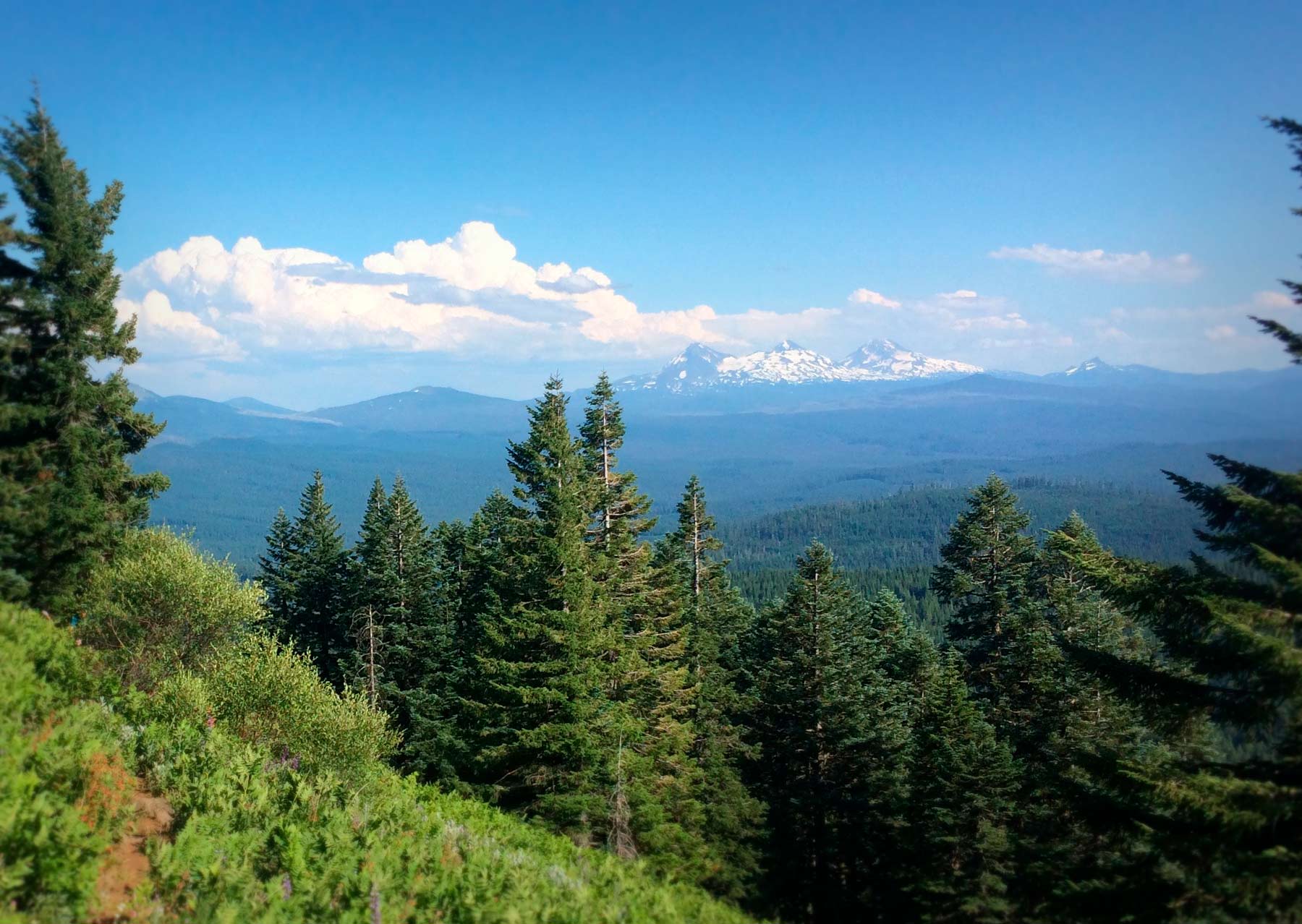 Whispers-Of-The-Cascade-Crest whispers-of-the-cascade-crest