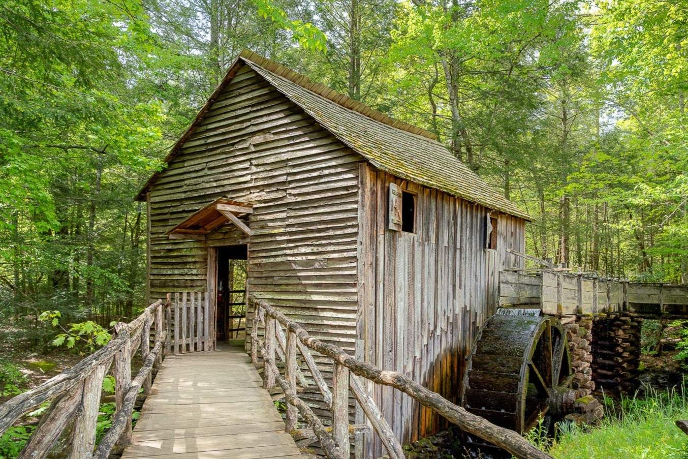 whispers-of-the-great-smoky-coves