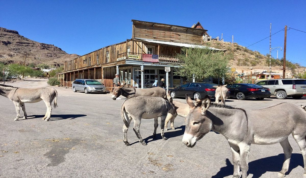 Arizona8217s-Forgotten-Ghost-Towns-Of-Tiger arizonas-forgotten-ghost-towns-of-tiger