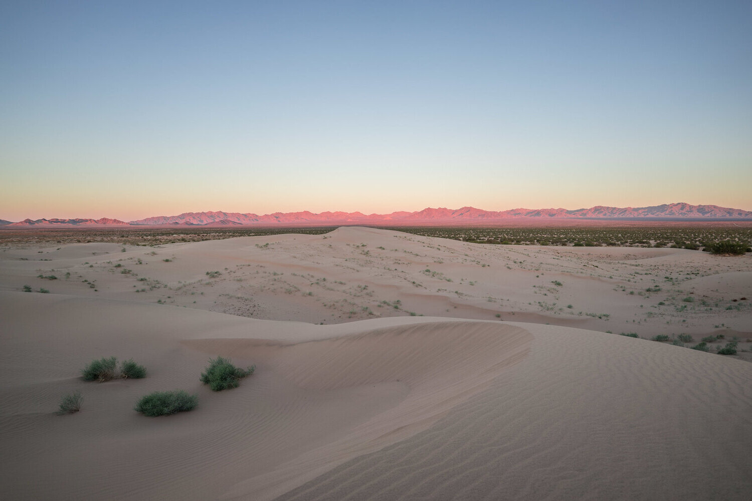 californias-white-desert-mystery