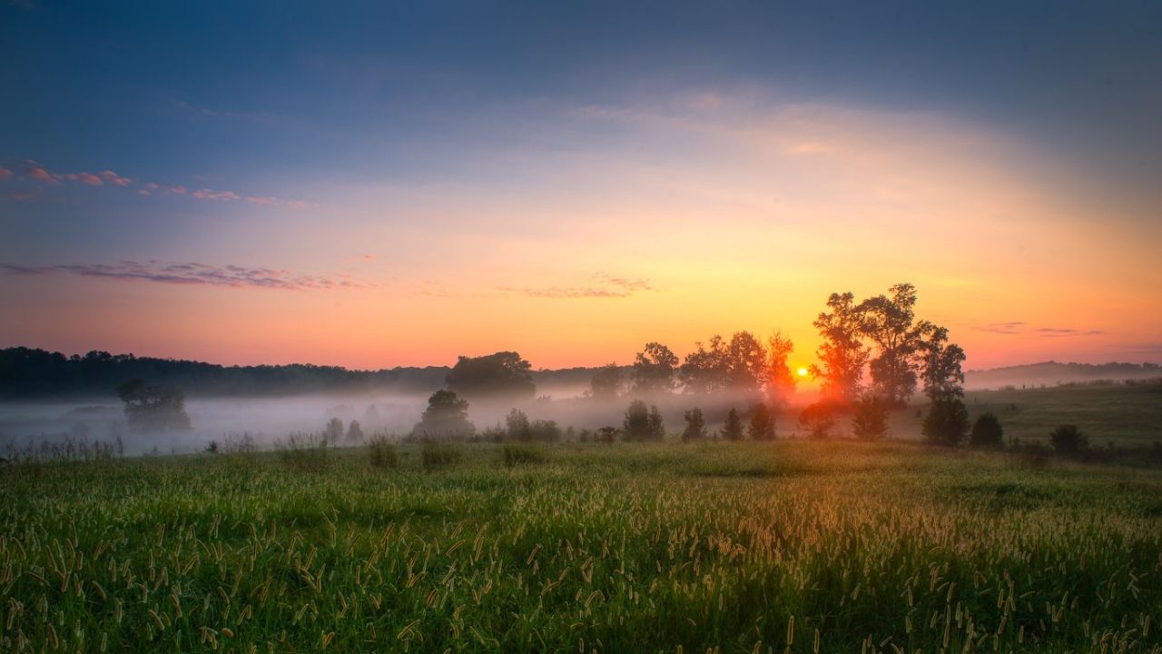 hidden-battlefields-at-georgias-nash-farm