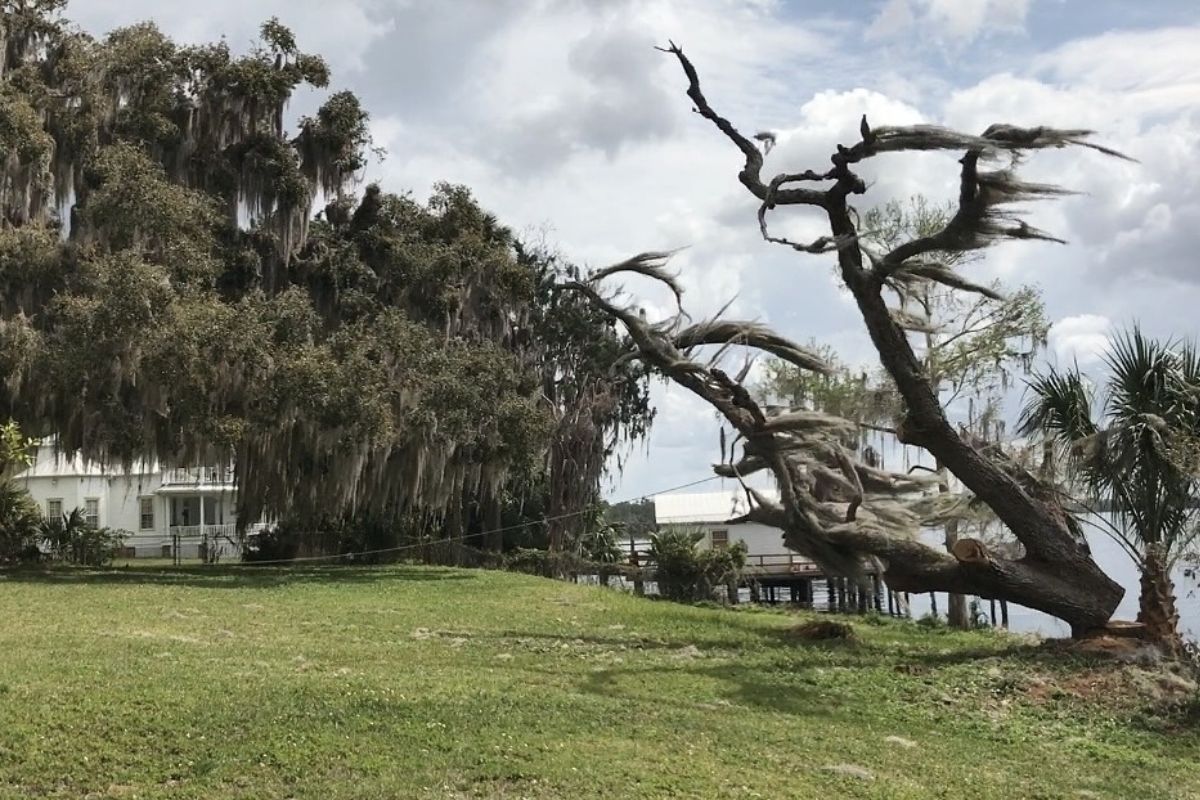 hidden-battlefields-of-floridas-fort-gates