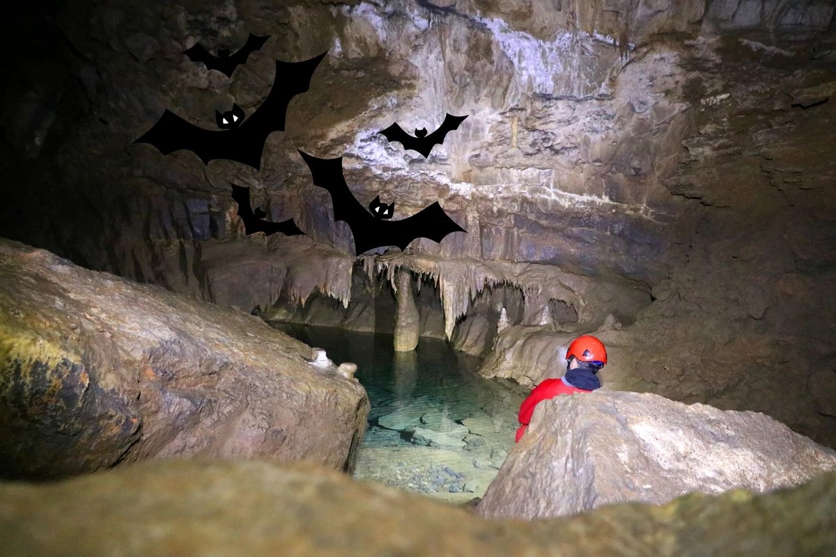 Hidden-Caves-Beneath-Michigan8217s-Shores hidden-caves-beneath-michigans-shores