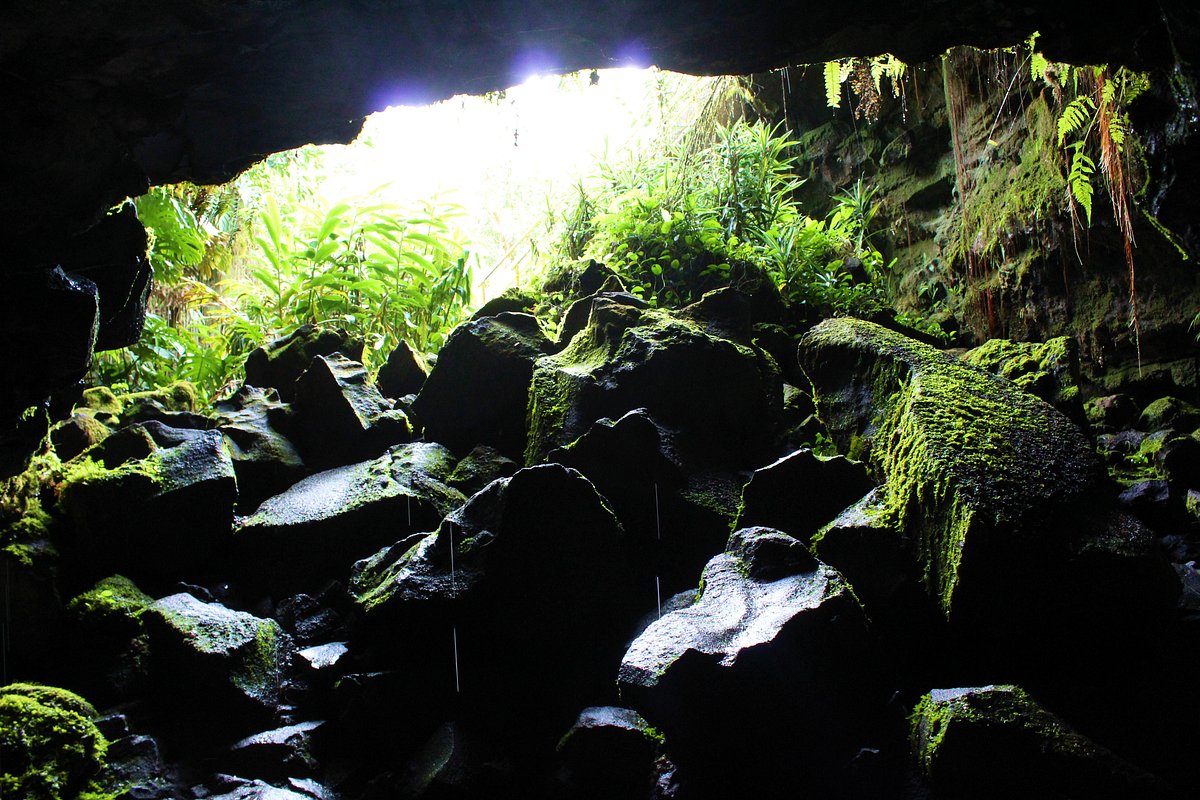 hidden-depths-of-hawaiis-kaumana-caves