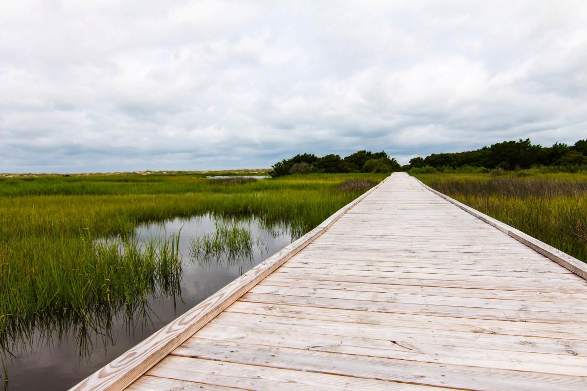hidden-forest-trails-of-fort-fisher-north-carolina