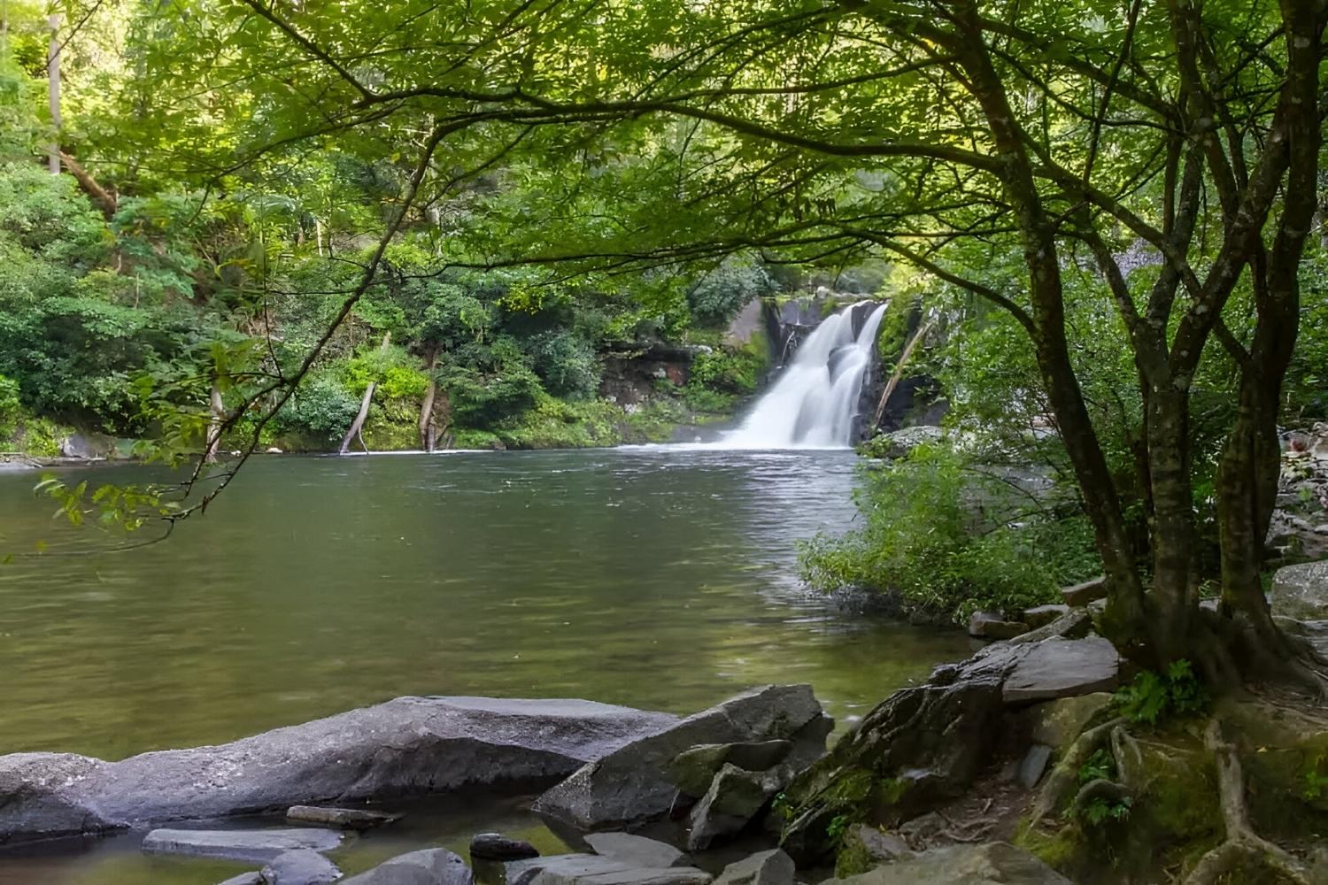 Hidden-Lakes-Of-Tennessee8217s-Cades-Cove hidden-lakes-of-tennessees-cades-cove