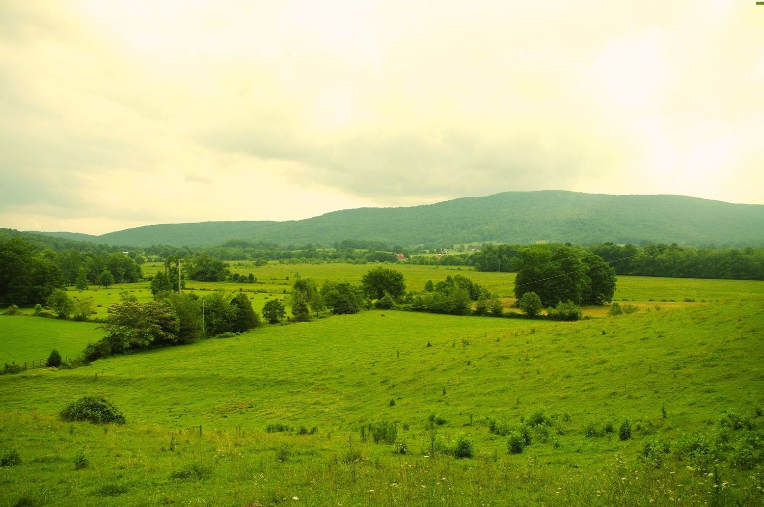 Hidden-Lakes-Of-Tennessee8217s-Grassy-Cove hidden-lakes-of-tennessees-grassy-cove