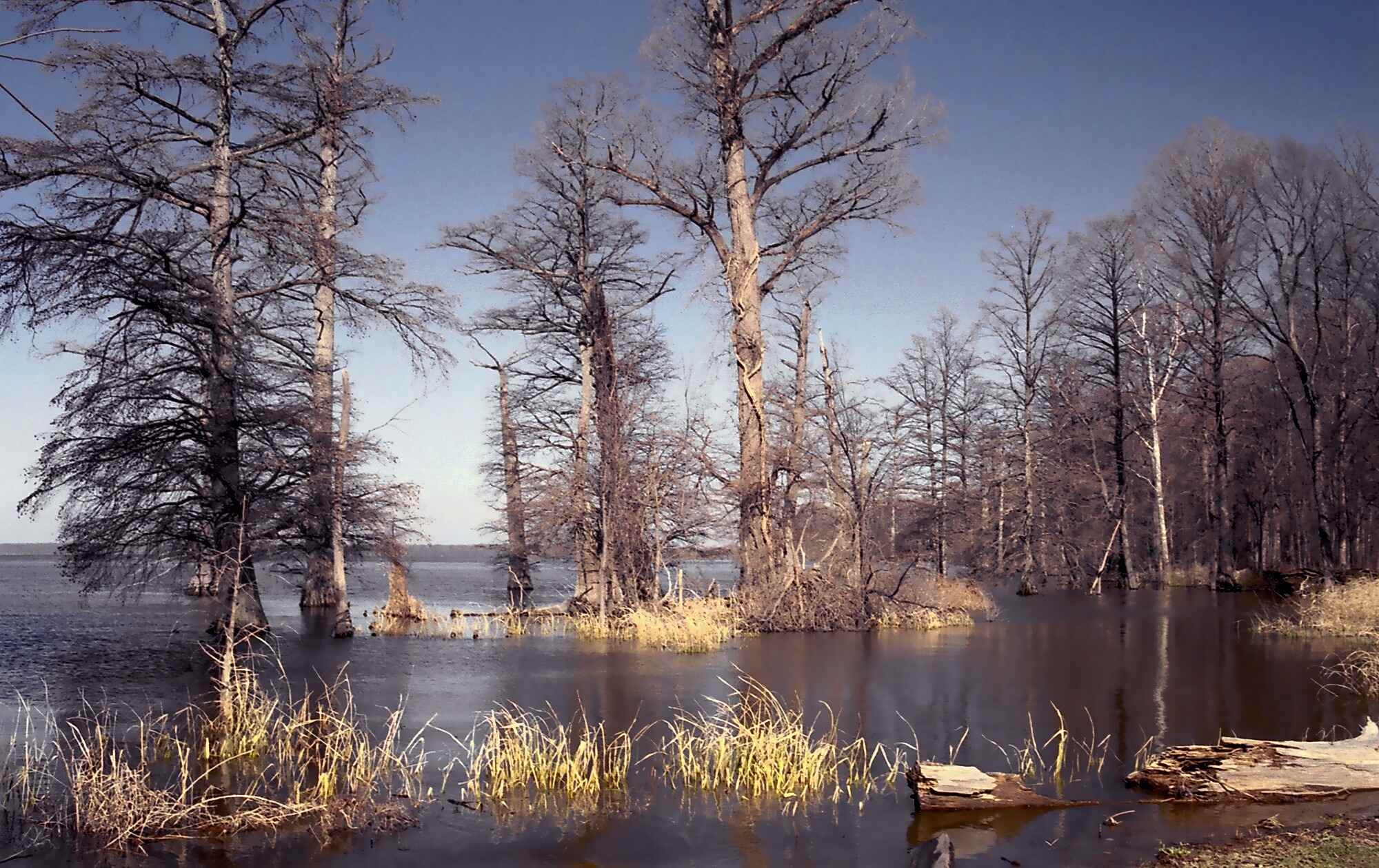 Hidden-Lakes-Of-Tennessee8217s-Reelfoot-Basin hidden-lakes-of-tennessees-reelfoot-basin