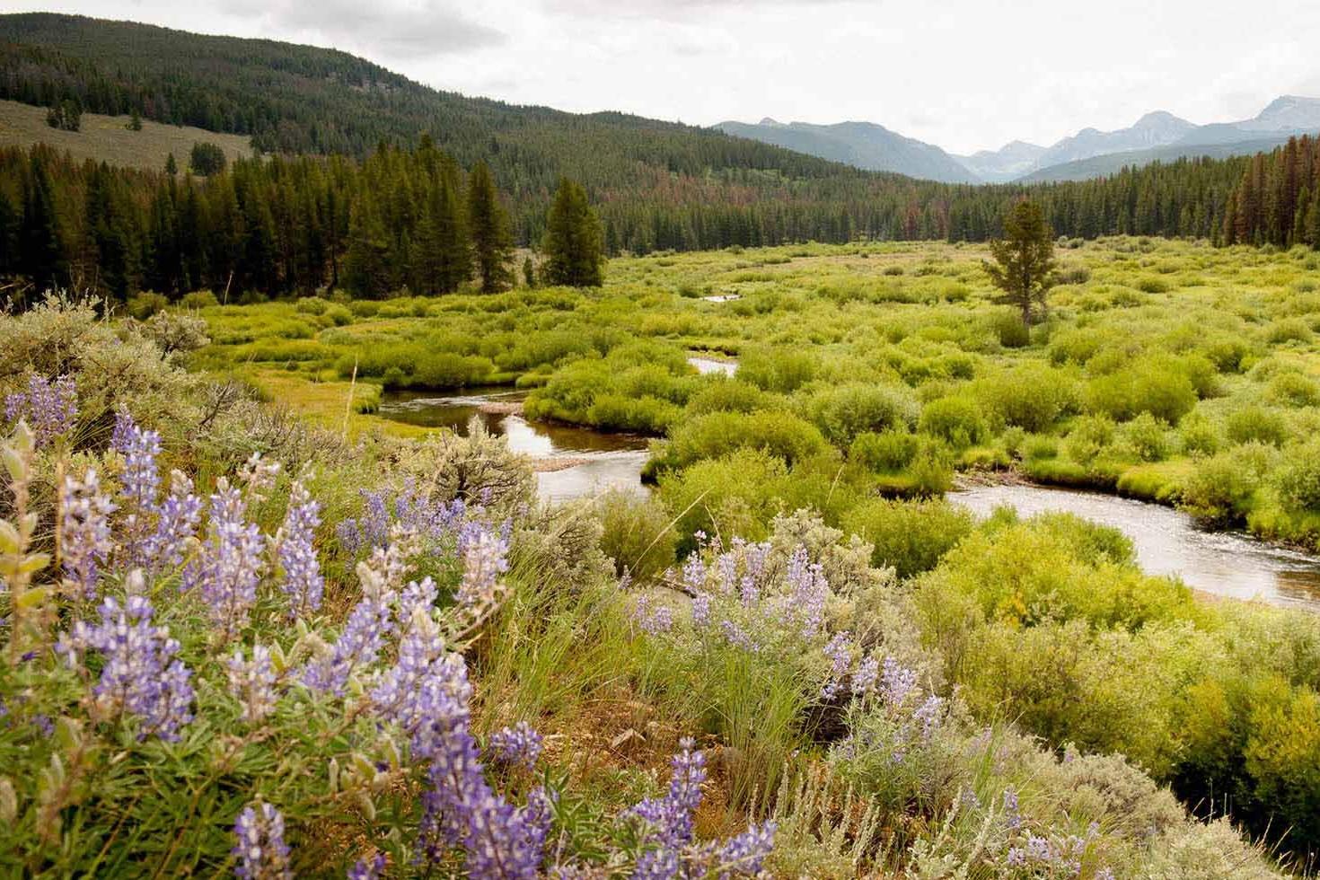 hidden-mining-claims-of-montanas-pioneer