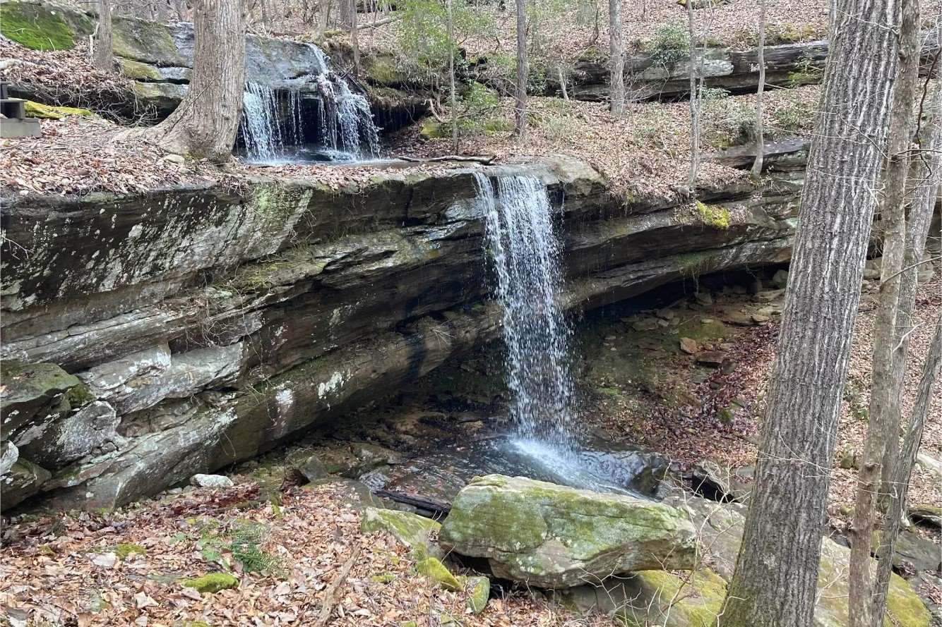 hidden-paths-of-alabamas-cane-creek