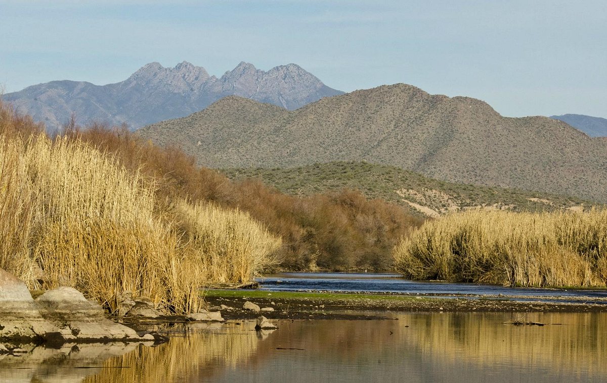 Hidden-Paths-Of-Arizona8217s-Salt-River hidden-paths-of-arizonas-salt-river