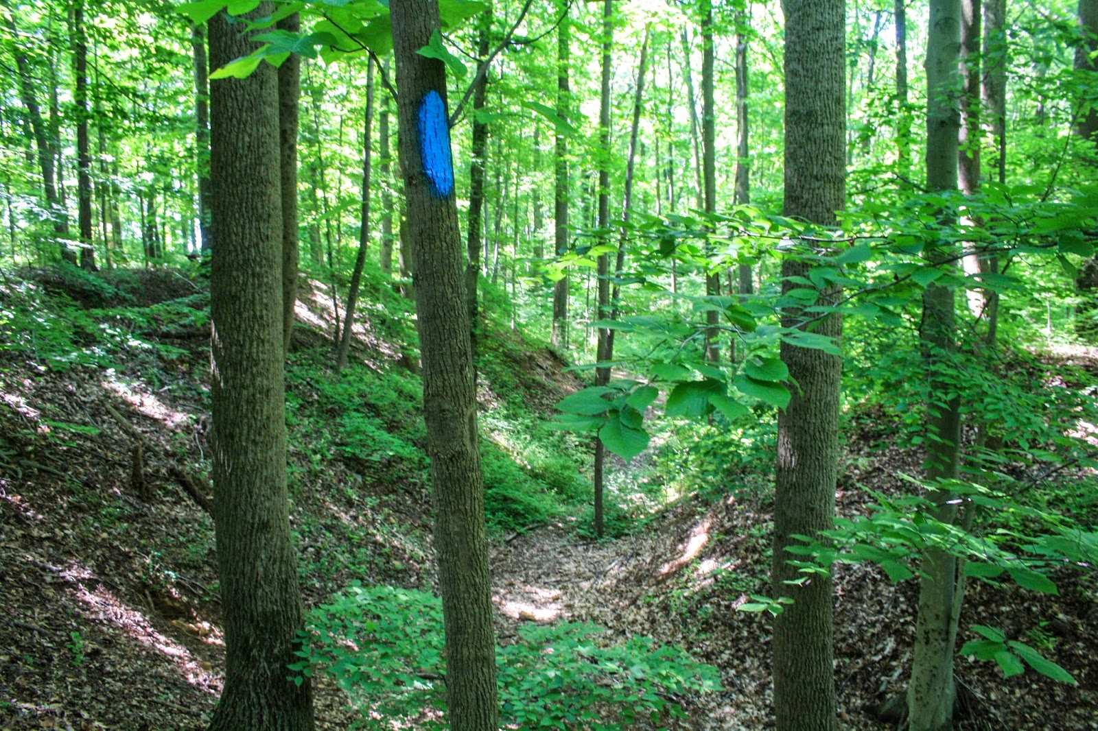 hidden-paths-of-delawares-iron-hill