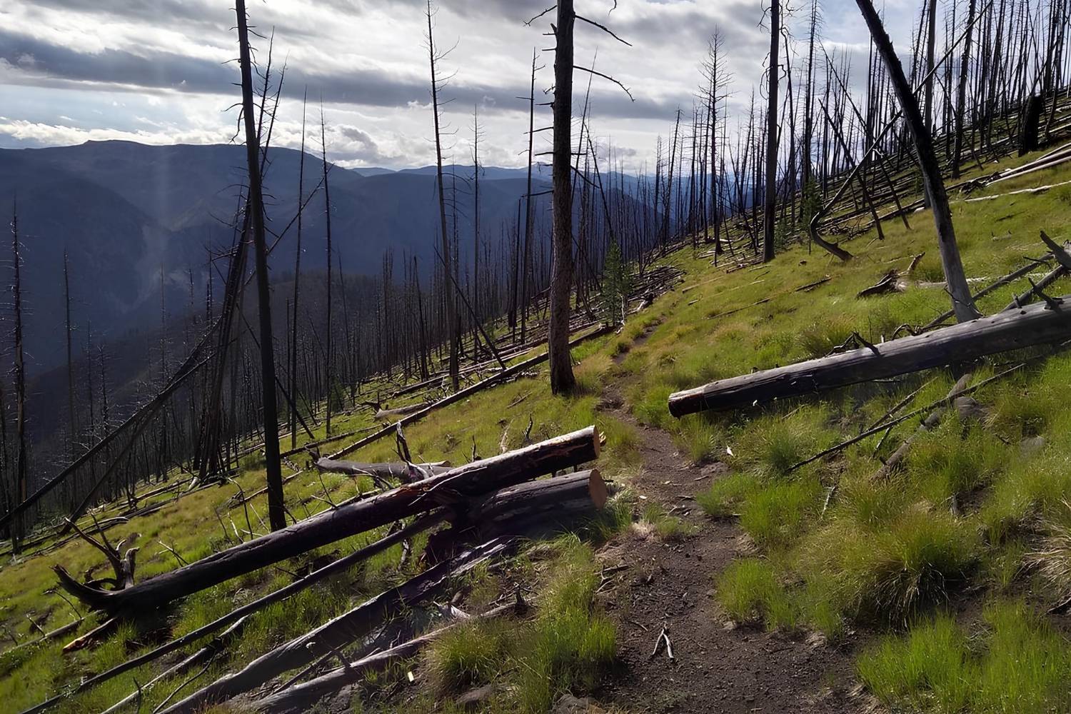 Hidden-Paths-Of-Idaho8217s-Thunder-Mountain hidden-paths-of-idahos-thunder-mountain