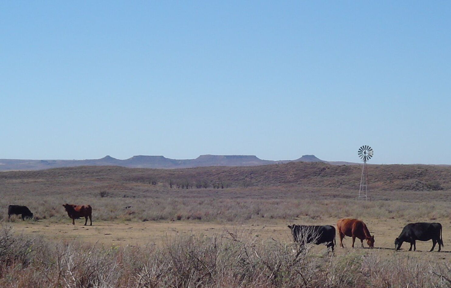 hidden-paths-of-oklahomas-antelope-hills