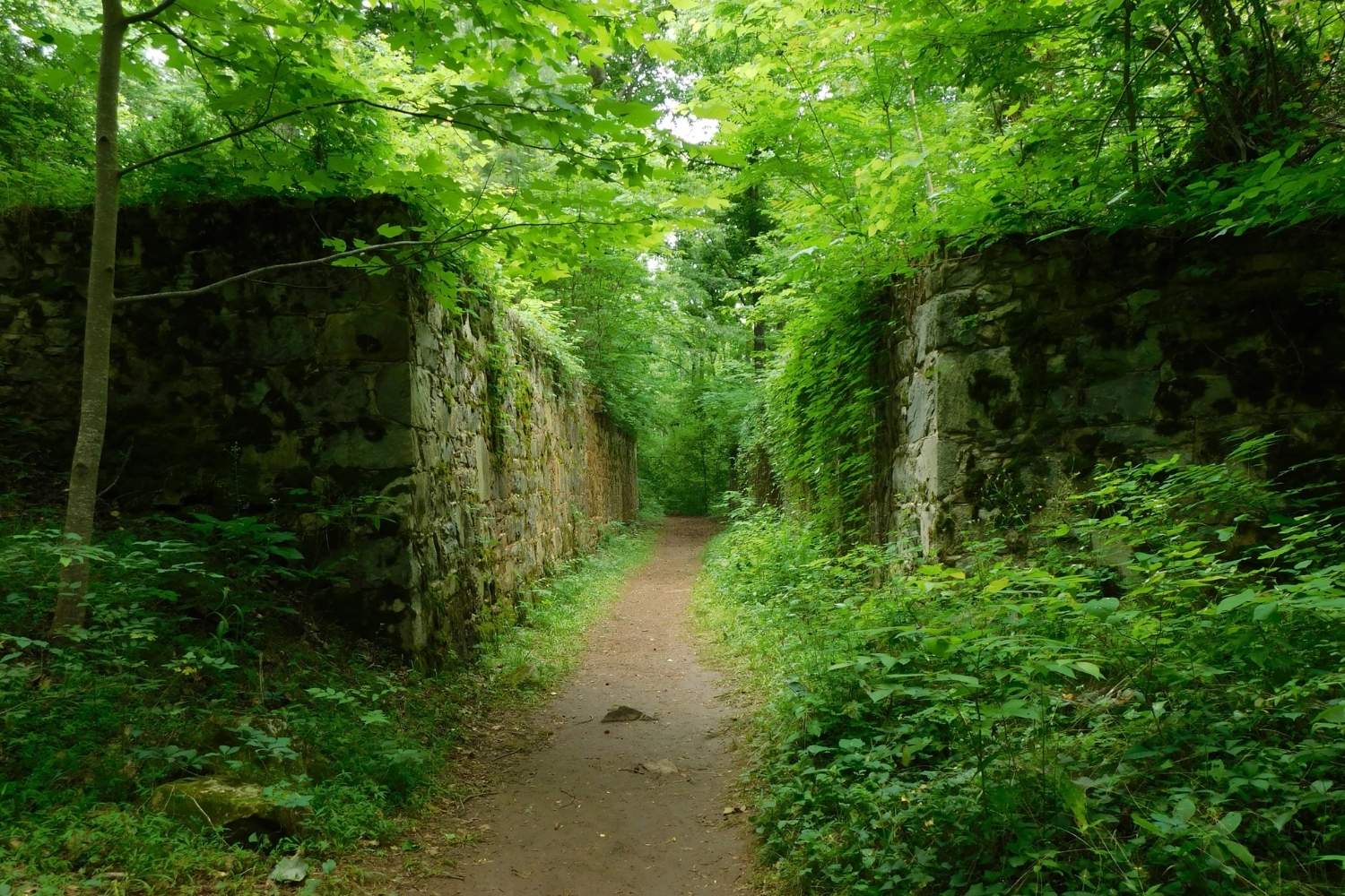 Hidden-Paths-Of-South-Carolina8217s-Landsford hidden-paths-of-south-carolinas-landsford