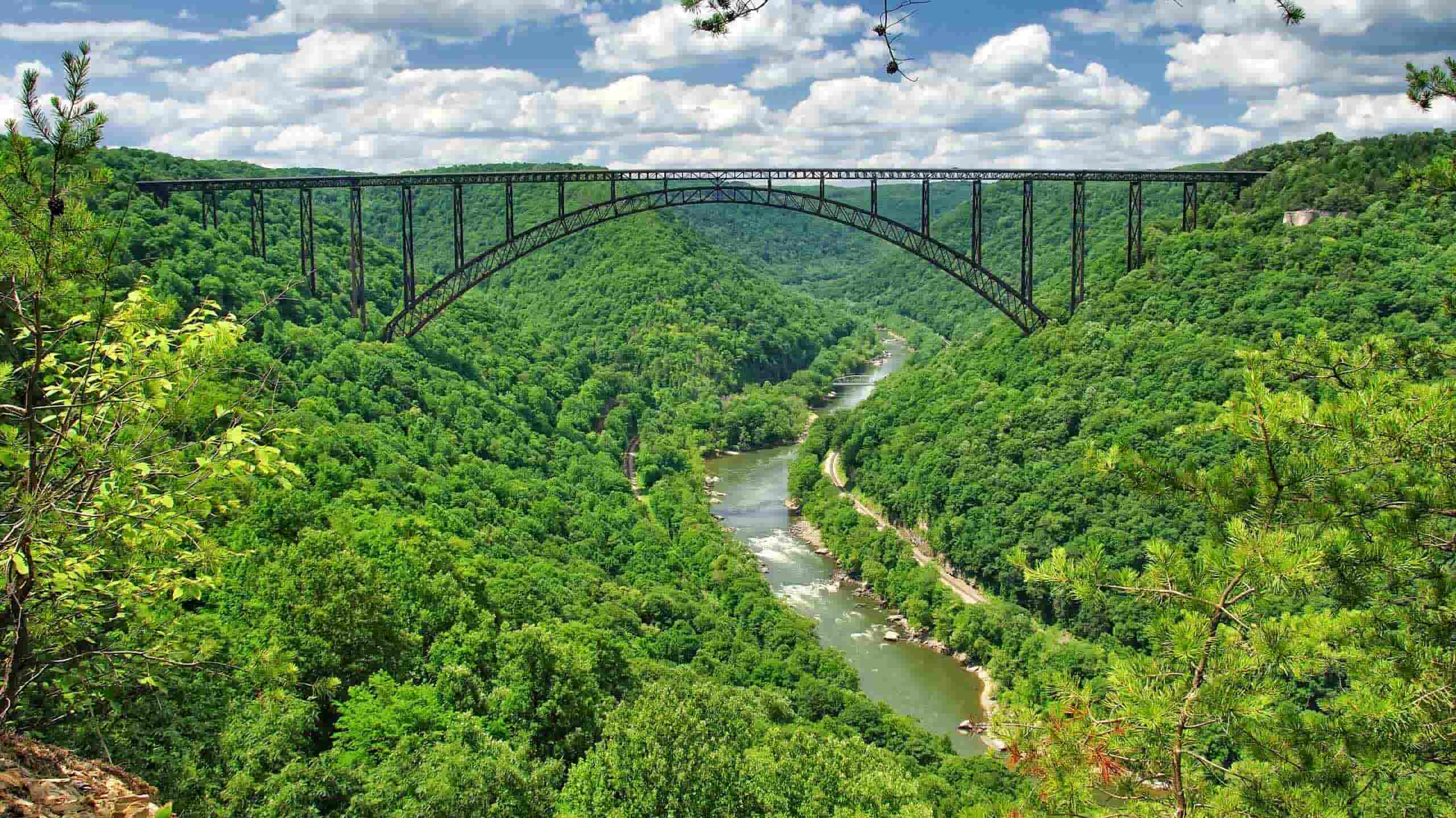Hidden-Pawpaw-Patches-Of-West-Virginia8217s-New-River-Gorge hidden-pawpaw-patches-of-west-virginias-new-river-gorge