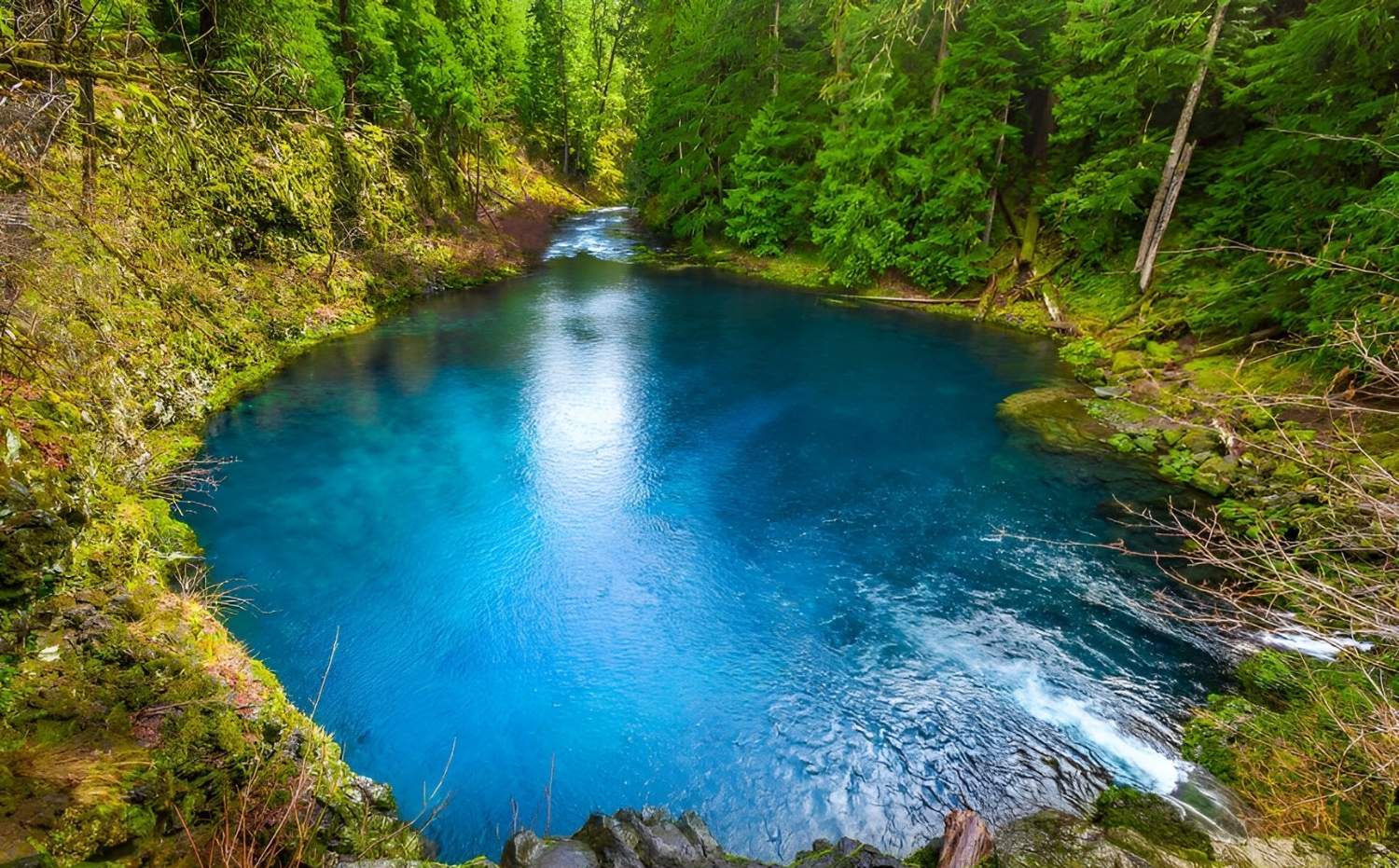 hidden-pools-along-oregons-mckenzie-river