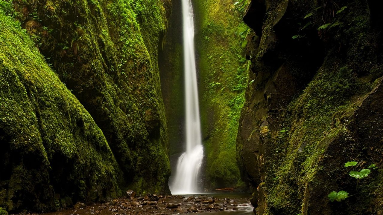 hidden-pools-of-oregons-oneonta-gorge