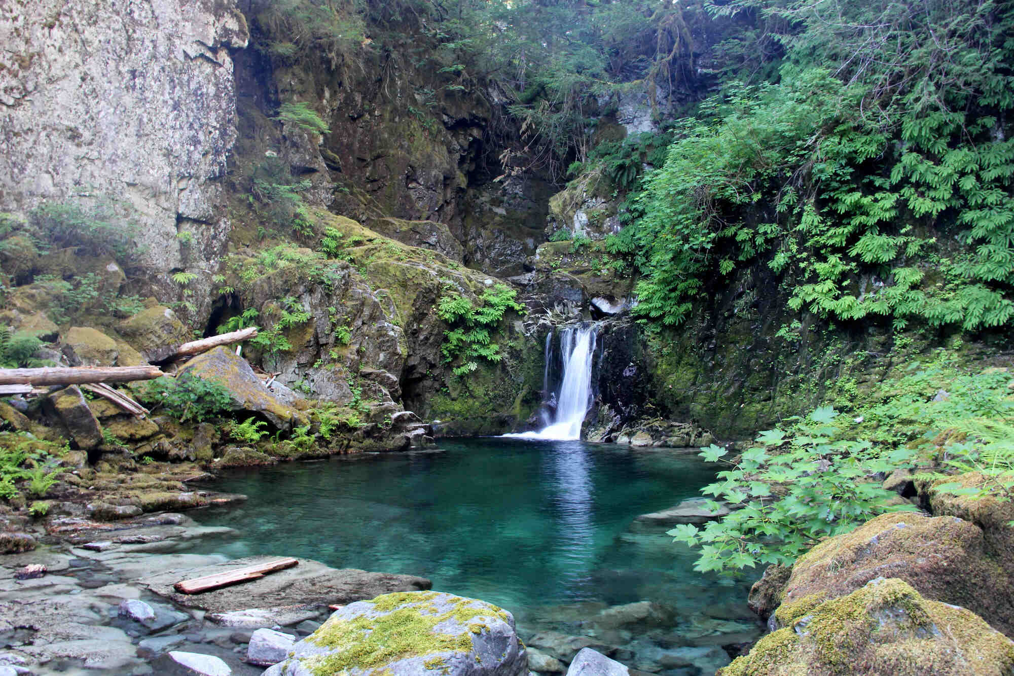 hidden-pools-of-oregons-opal-creek