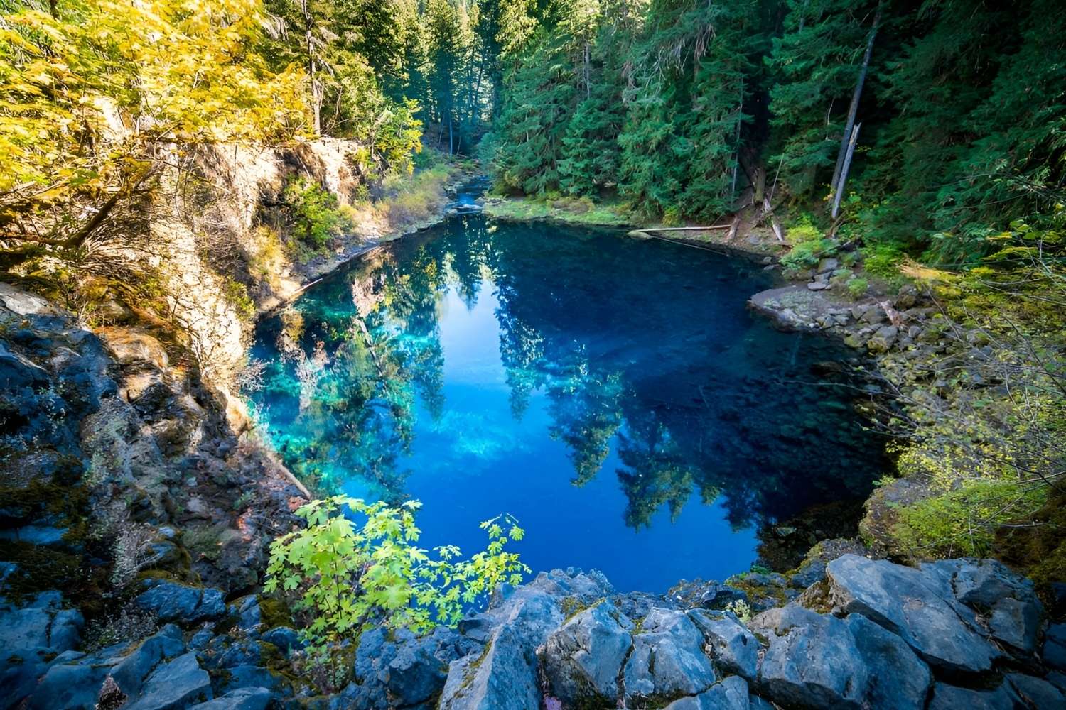 Hidden-Pools-Of-Oregon8217s-Willamette-Valley hidden-pools-of-oregons-willamette-valley