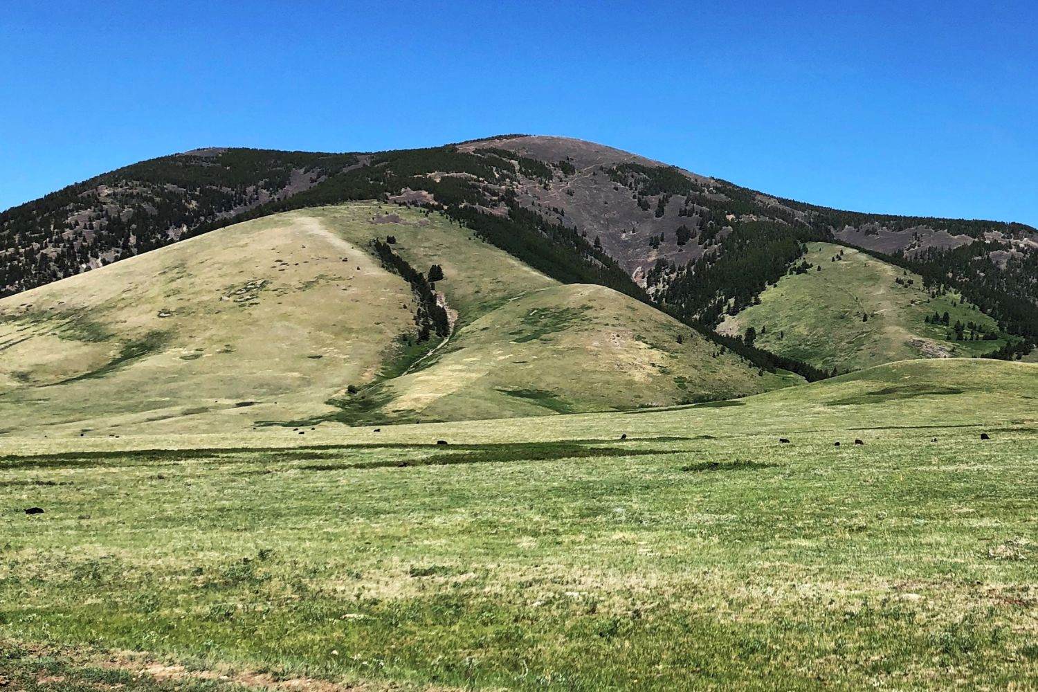 Hidden-Riches-In-Montana8217s-Sweet-Grass hidden-riches-in-montanas-sweet-grass