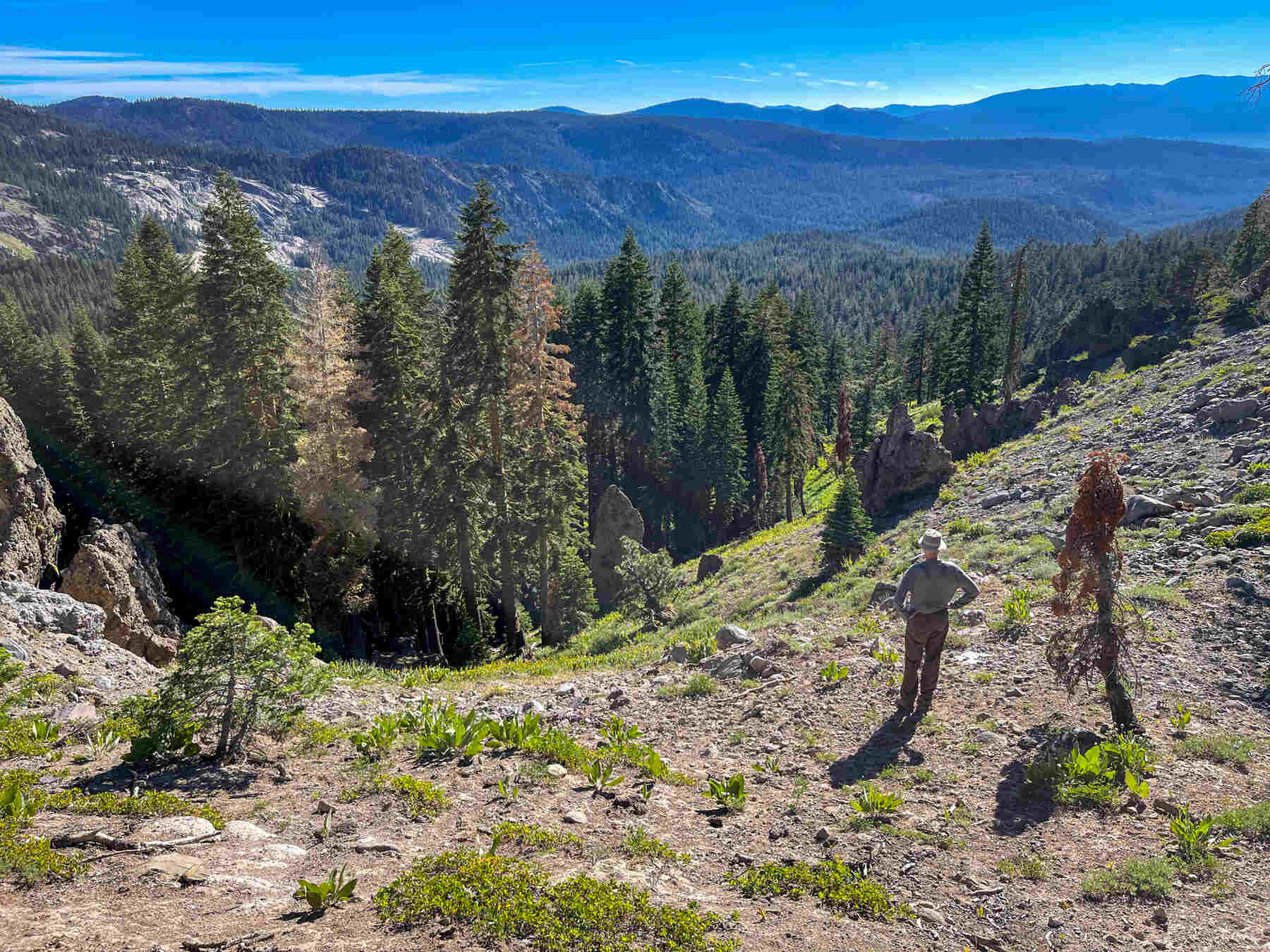 hidden-routes-of-nevadas-emigrant-trail