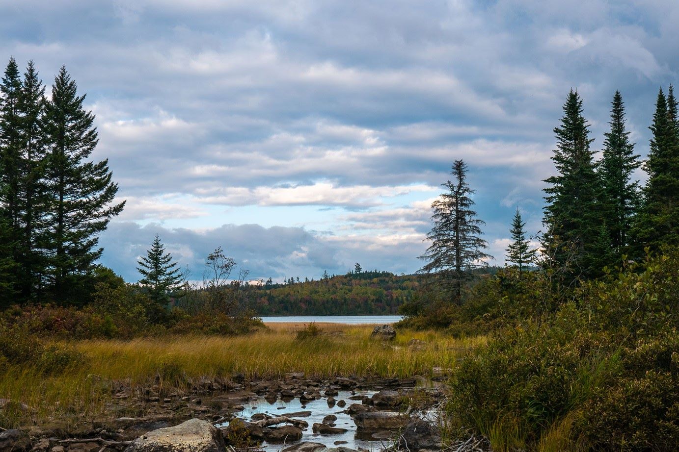 hidden-secrets-of-maines-gold-brook