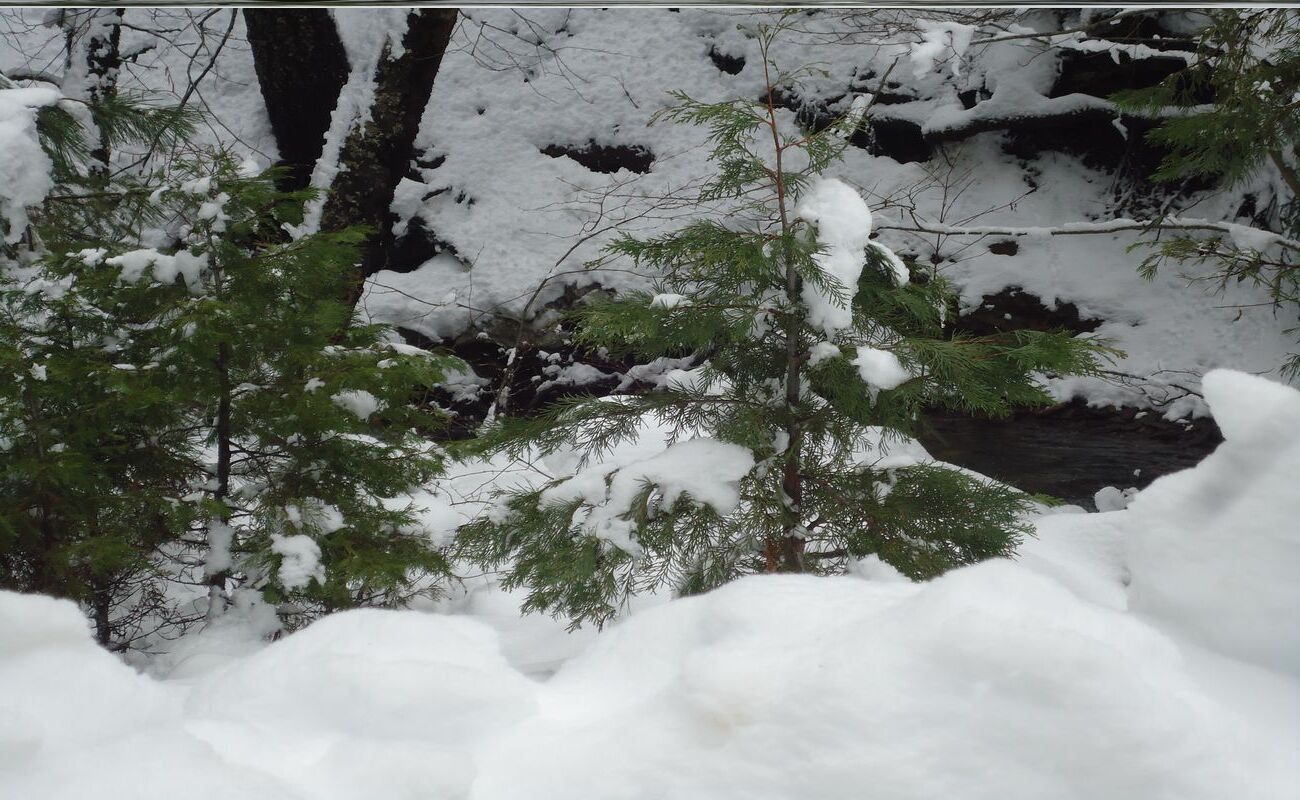 hidden-secrets-of-nevadas-bloody-run-mines