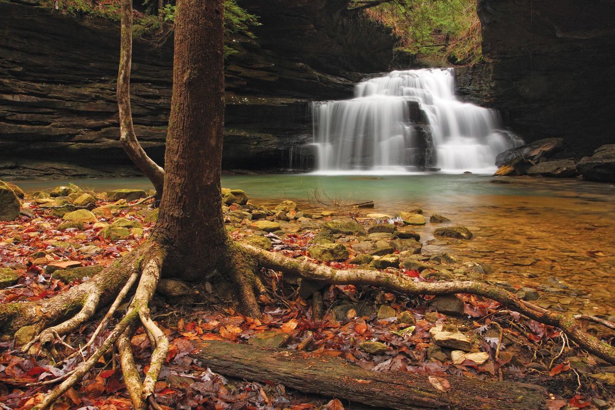 Hidden-Springs-In-Alabama8217s-Bankhead-Forest hidden-springs-in-alabamas-bankhead-forest
