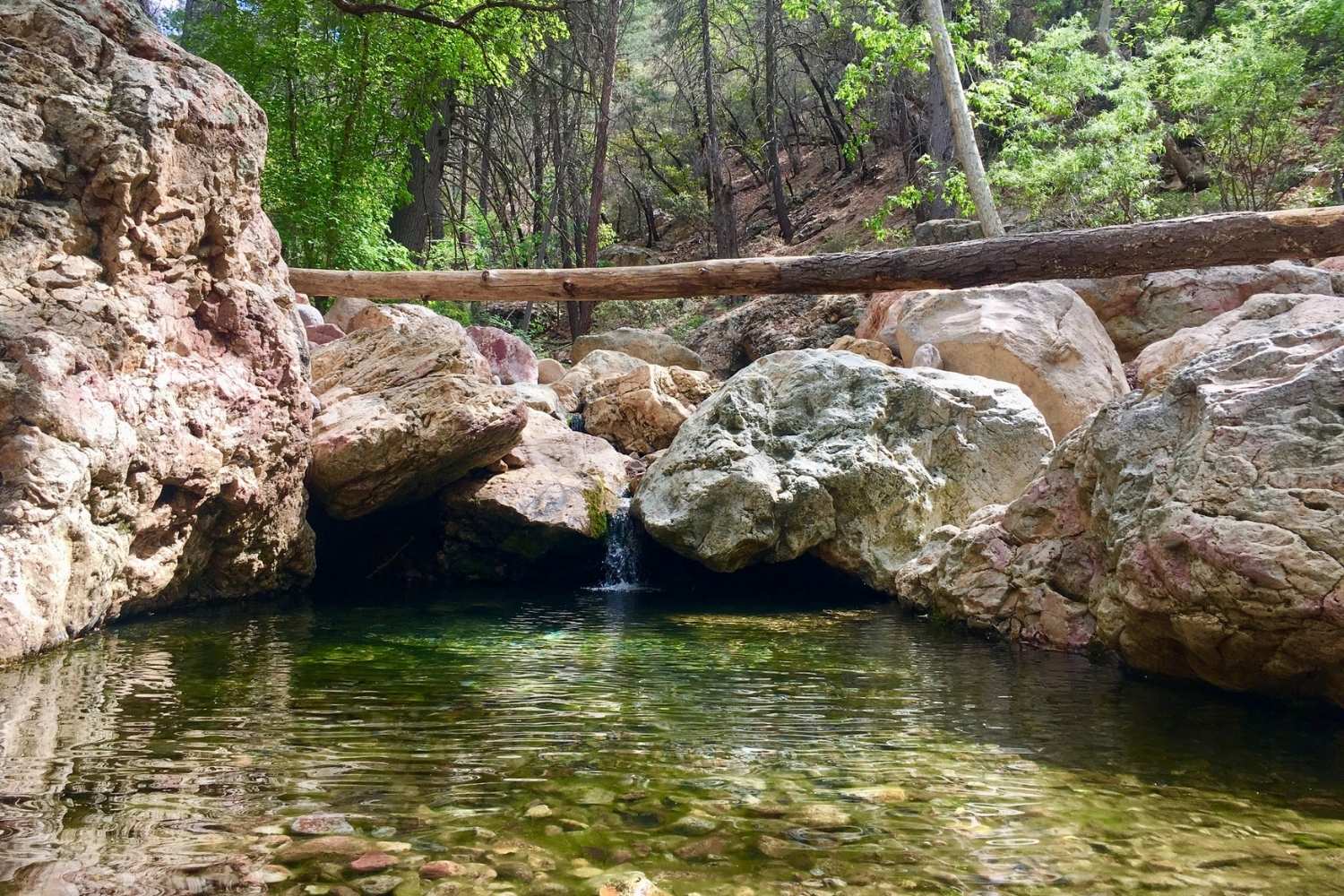 Hidden-Springs-In-Arizona8217s-Chiricahua hidden-springs-in-arizonas-chiricahua