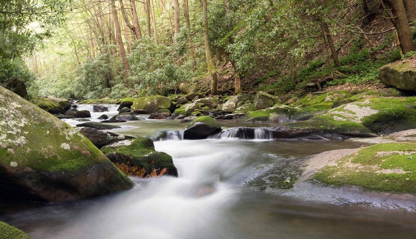 Hidden-Springs-In-Georgias-Cohutta-Wilderness hidden-springs-in-georgias-cohutta-wilderness