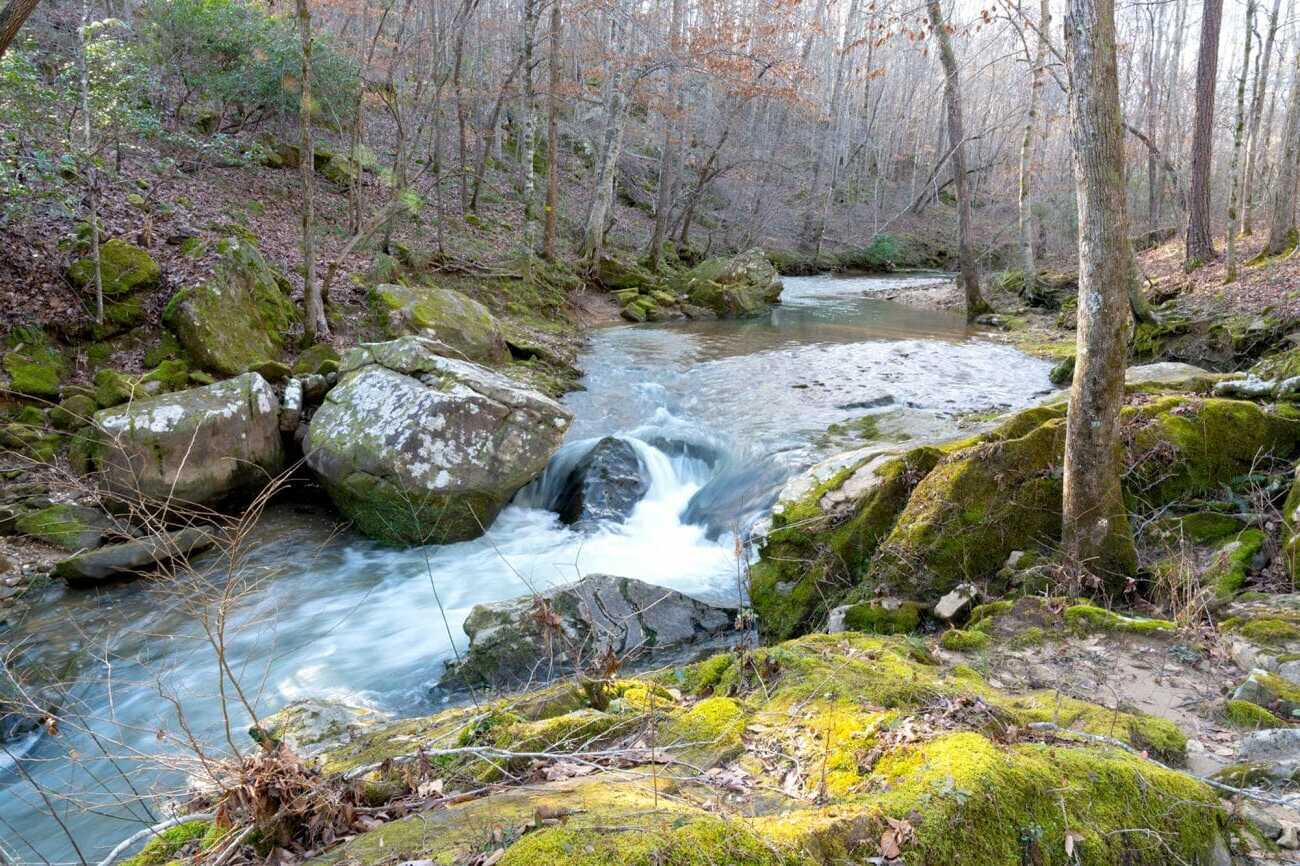 hidden-springs-of-alabamas-cane-creek