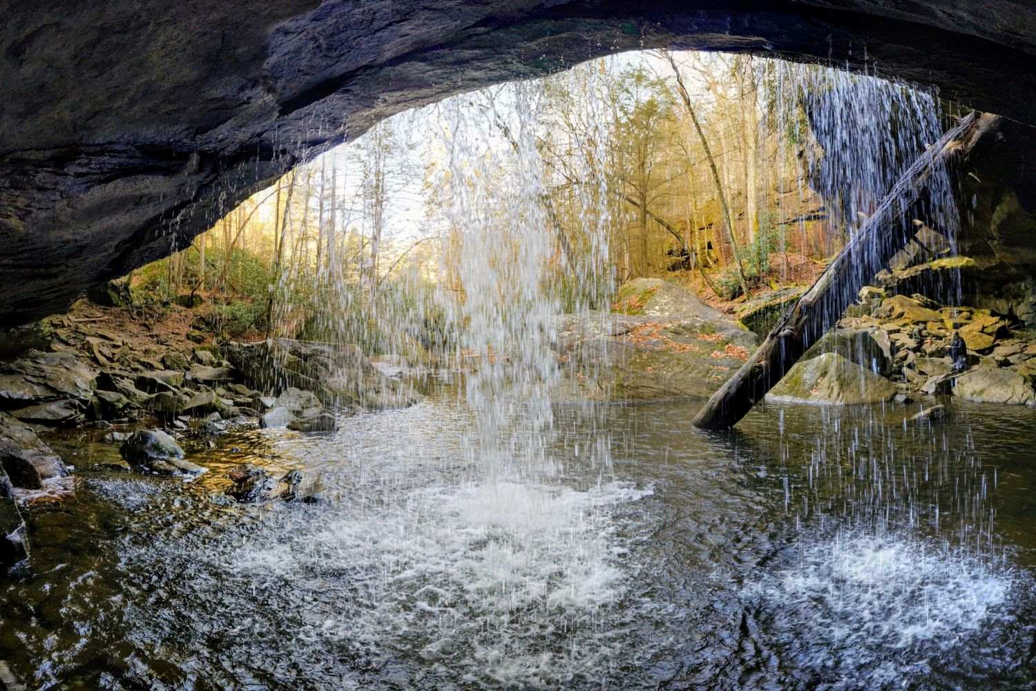 hidden-springs-of-kentuckys-dog-slaughter