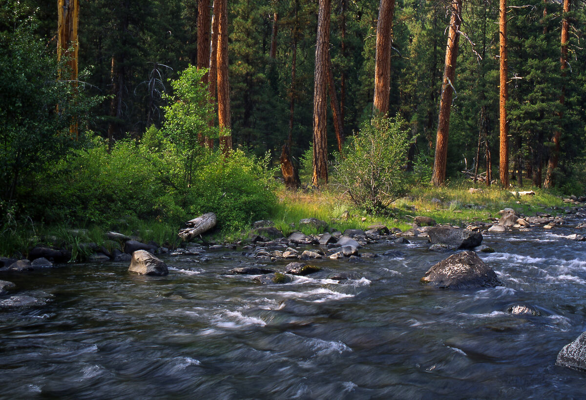 hidden-springs-of-oregons-malheur-river