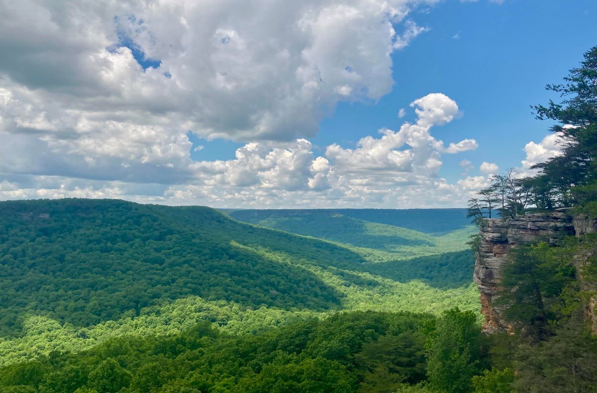 Hidden-Springs-Of-Tennessee8217s-Savage-Gulf hidden-springs-of-tennessees-savage-gulf